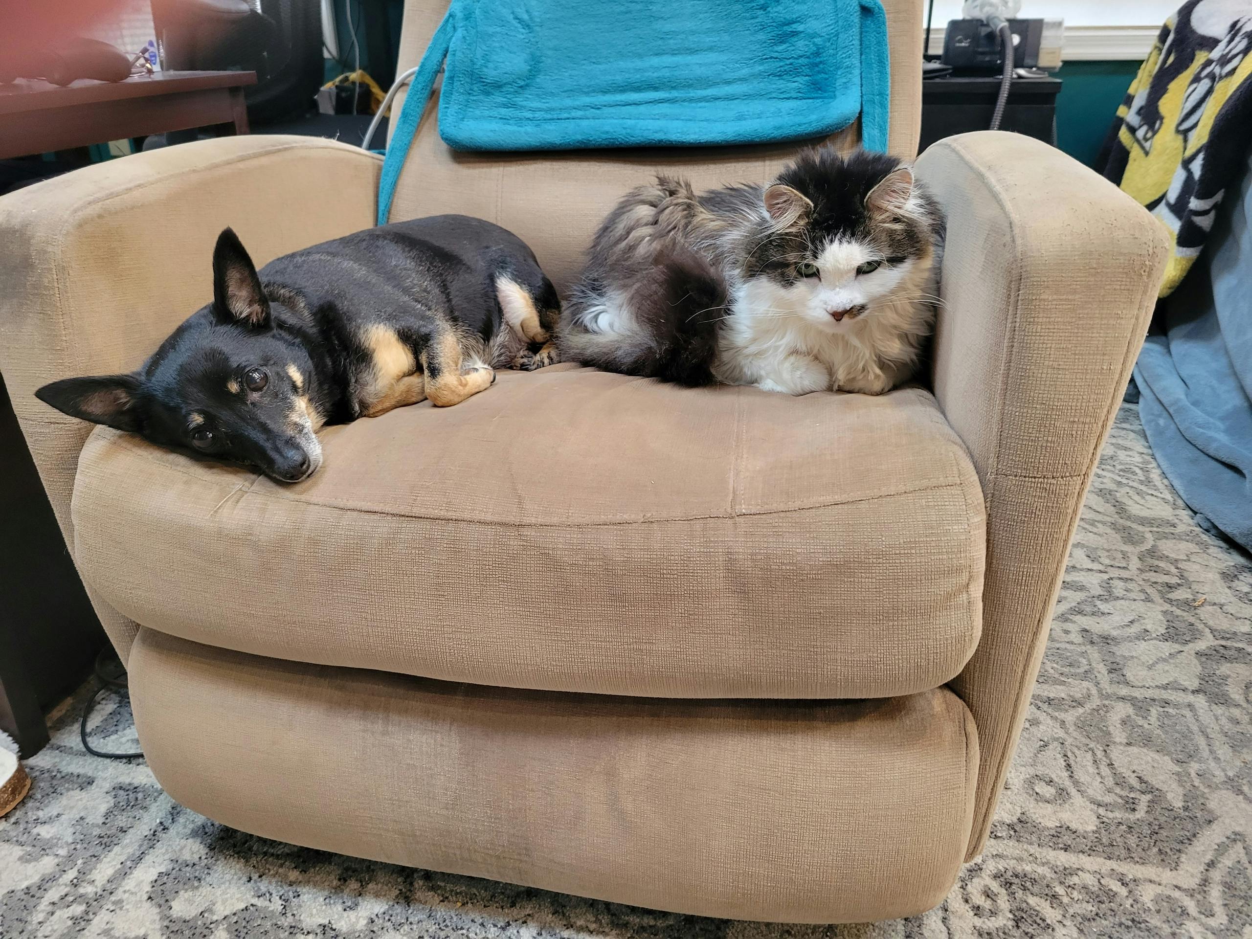 user avatar image for Heather