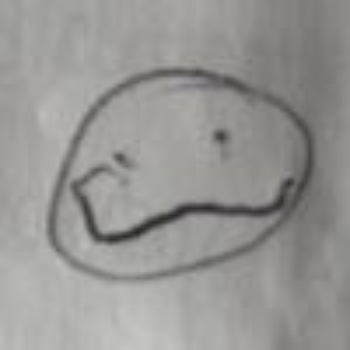 user avatar image for Alex Spring/Cosmog.Wannabe