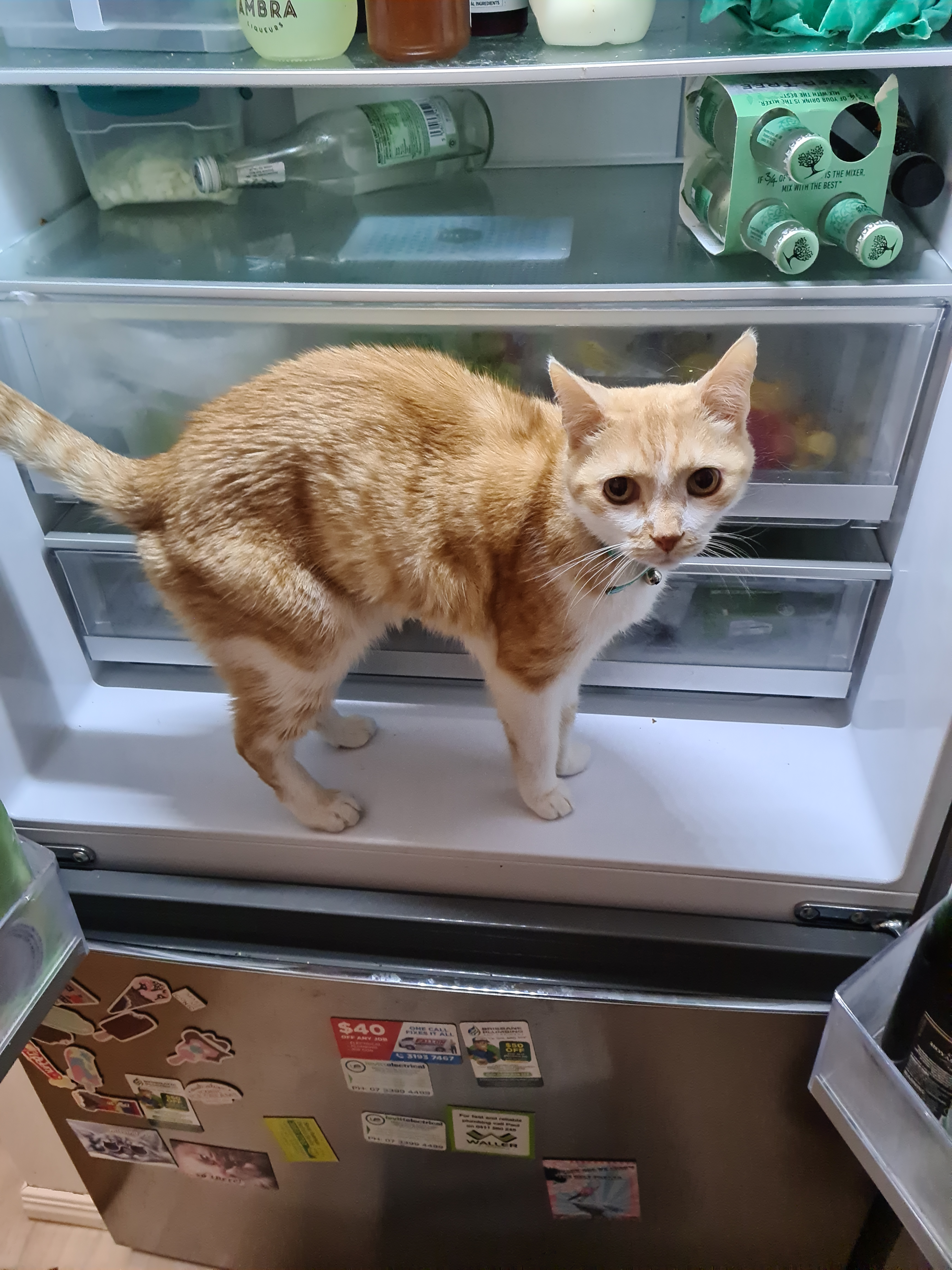 user avatar image for Kat McA