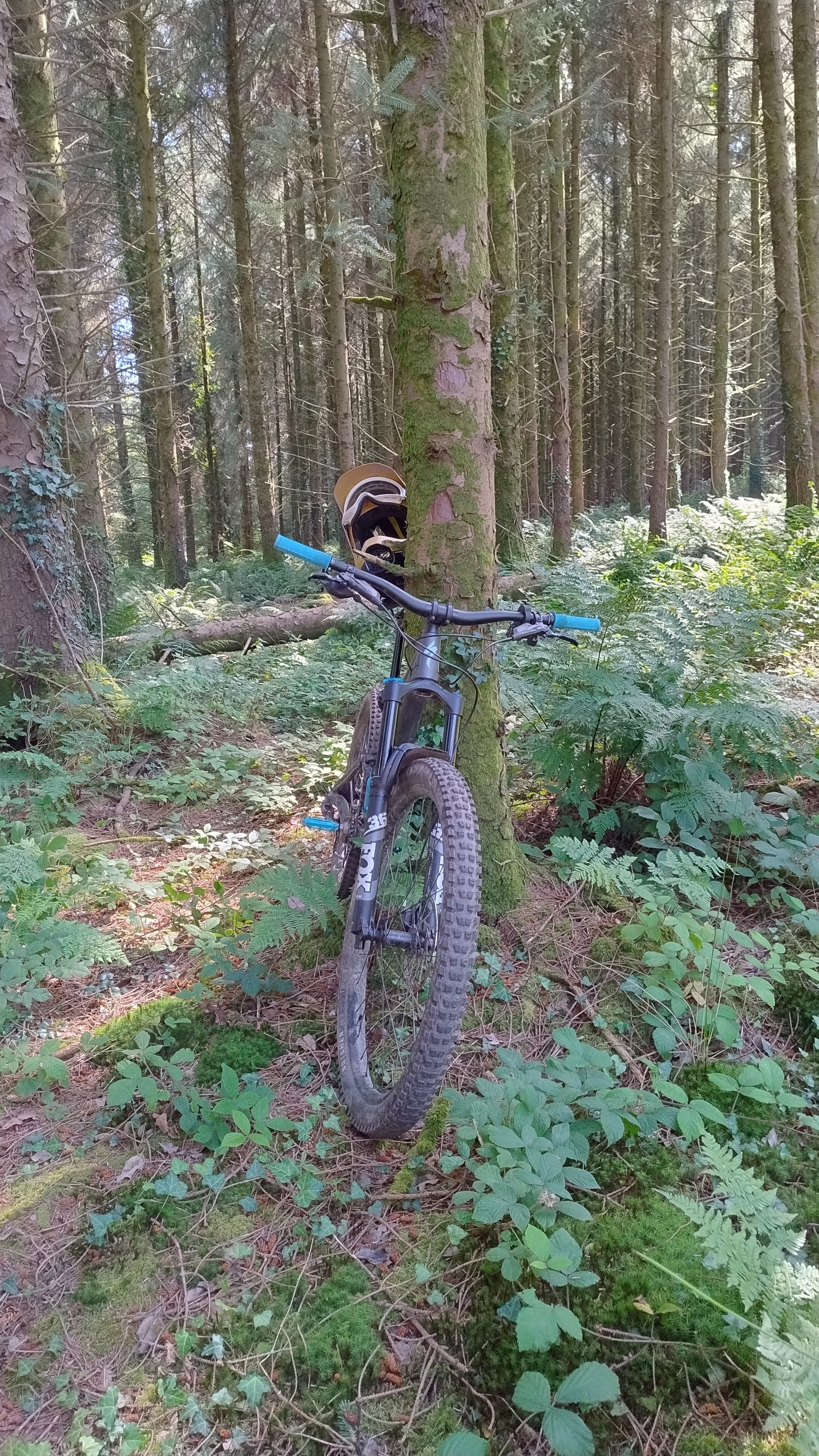 user avatar image for Ajp