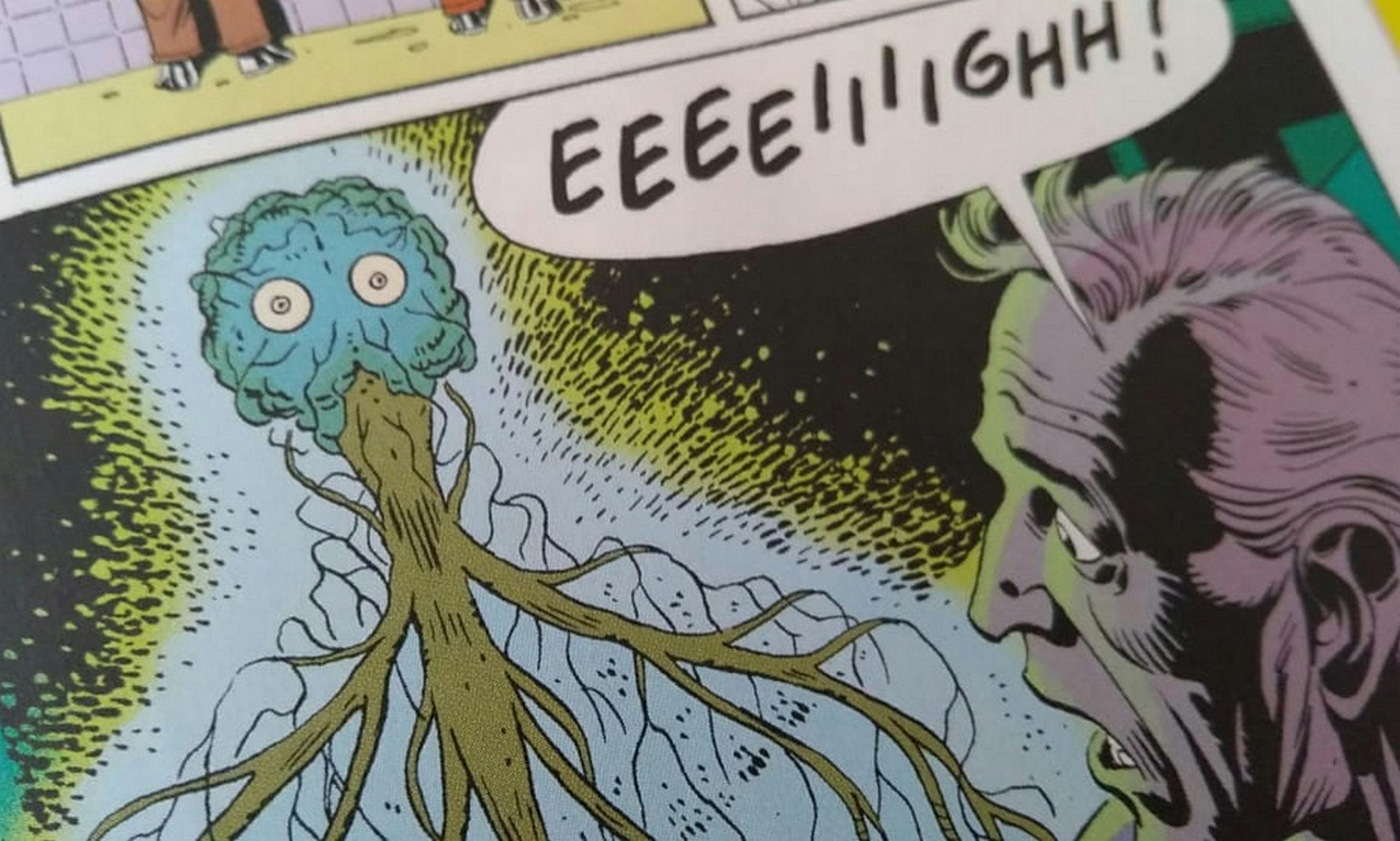 user avatar image for Spee