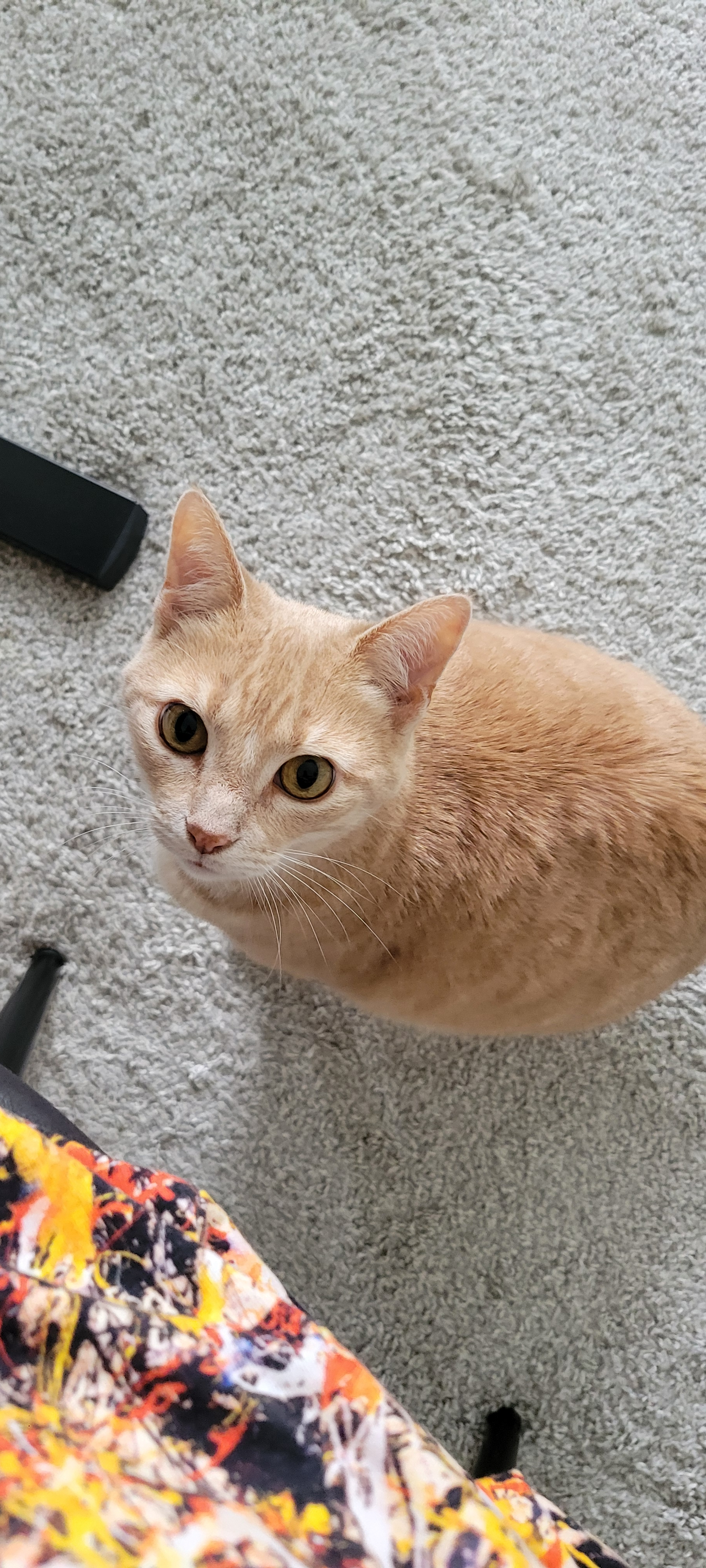 user avatar image for Ashley M