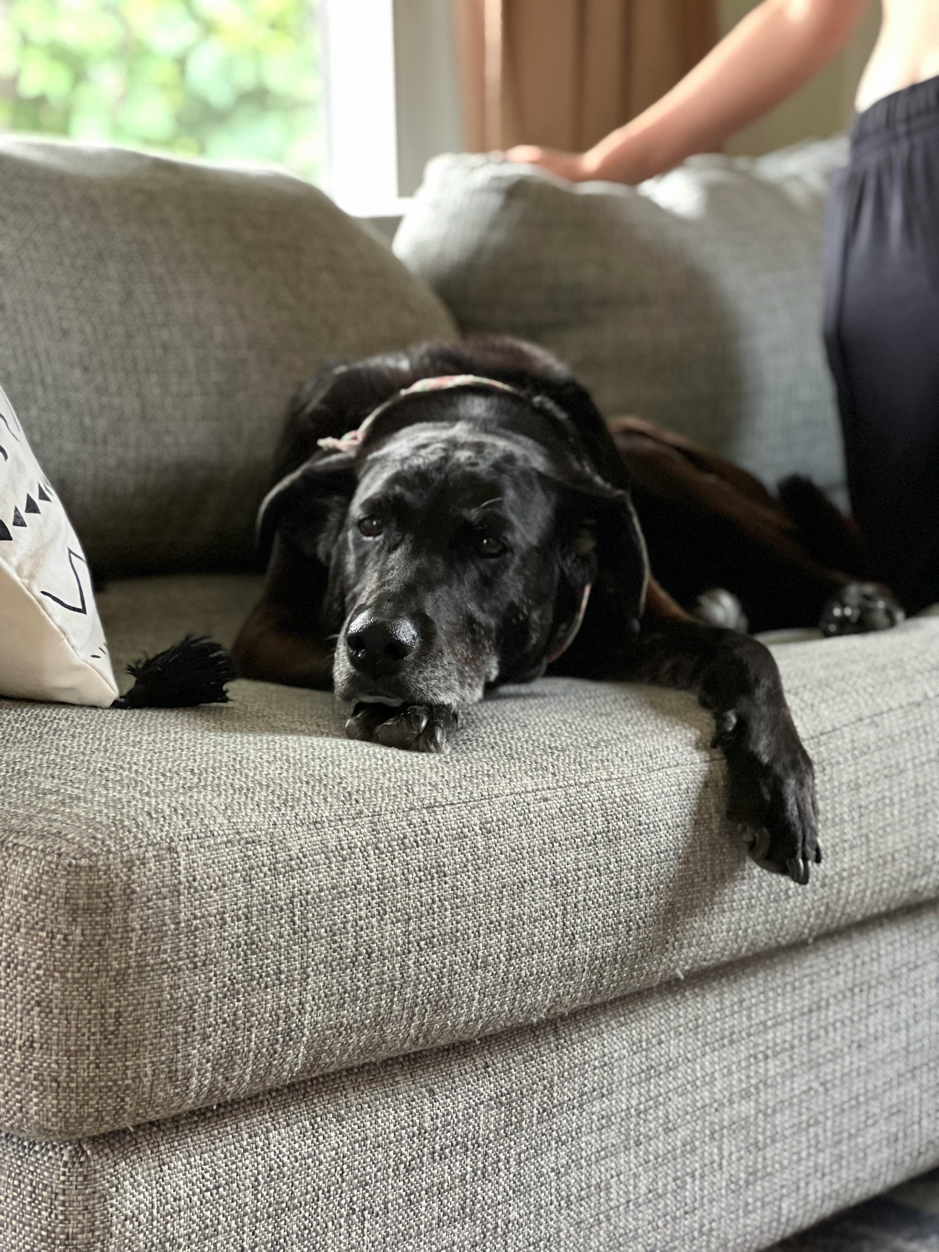 user avatar image for Mike Kurth