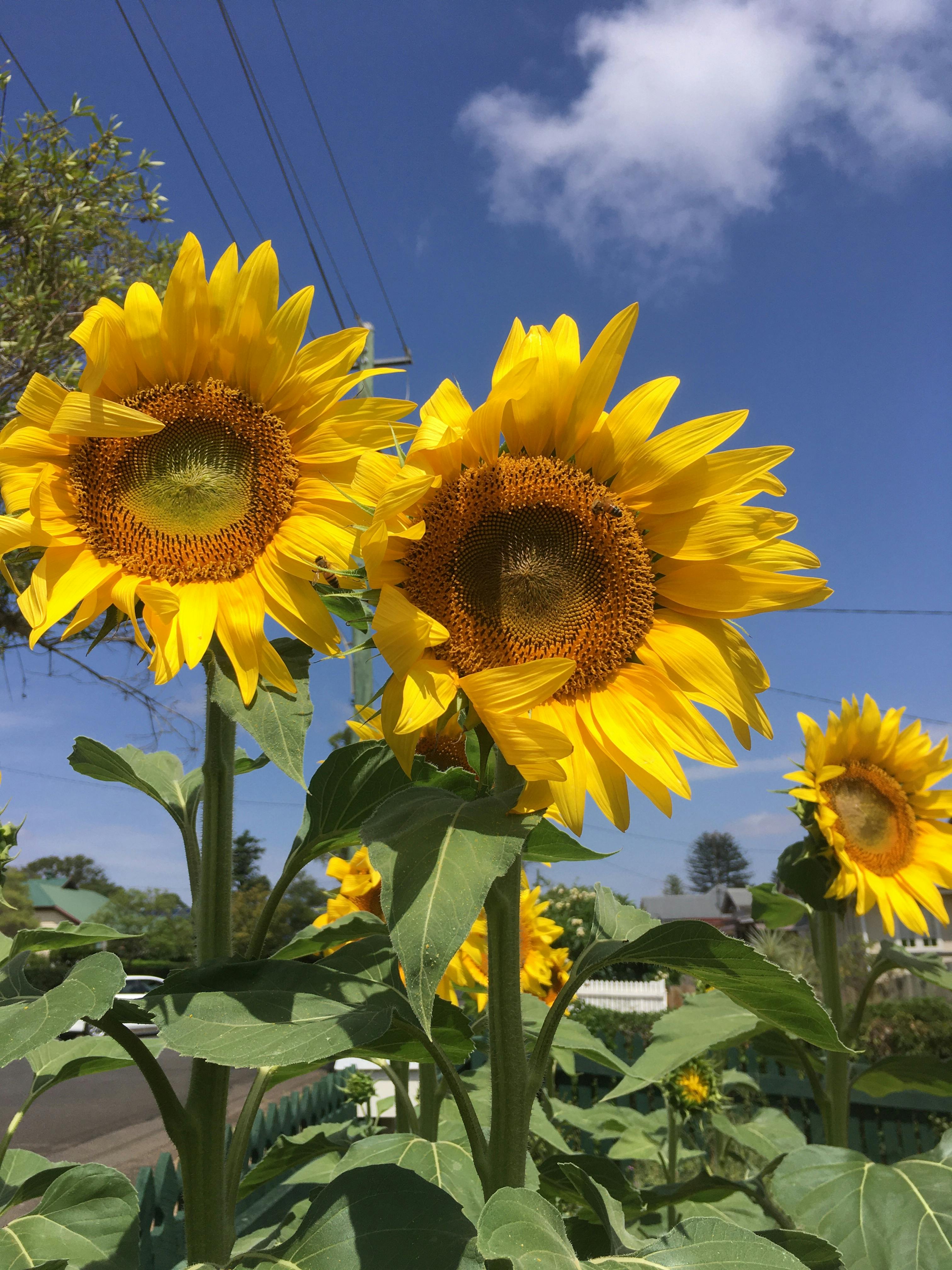 user avatar image for Chloë C