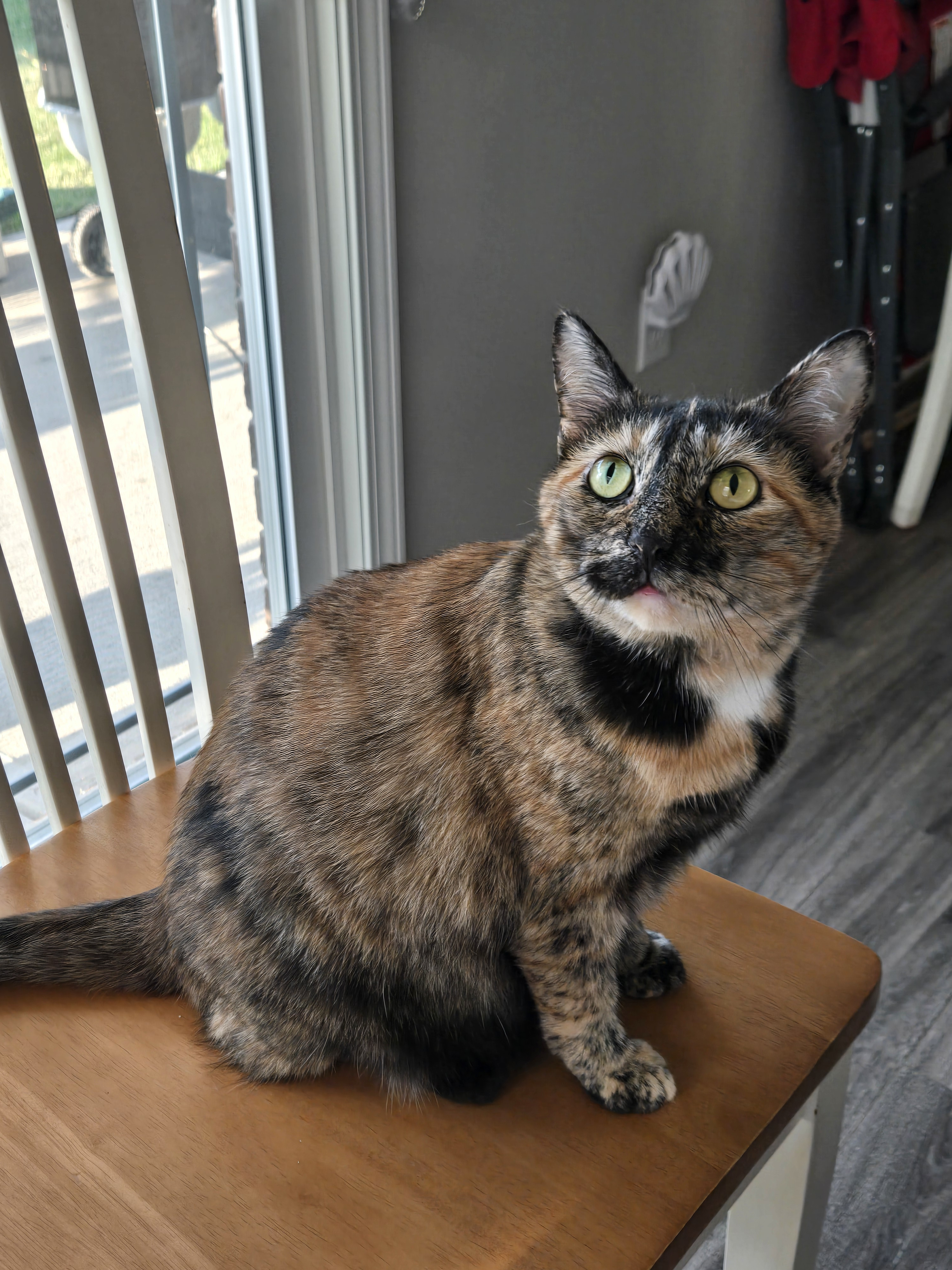 user avatar image for Megan DeRemer