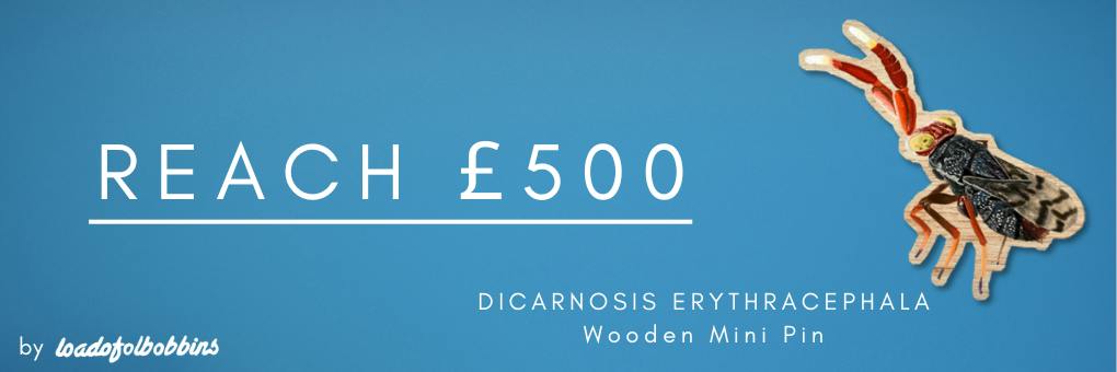 Reach £500