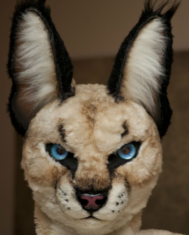 user avatar image for Midas_c