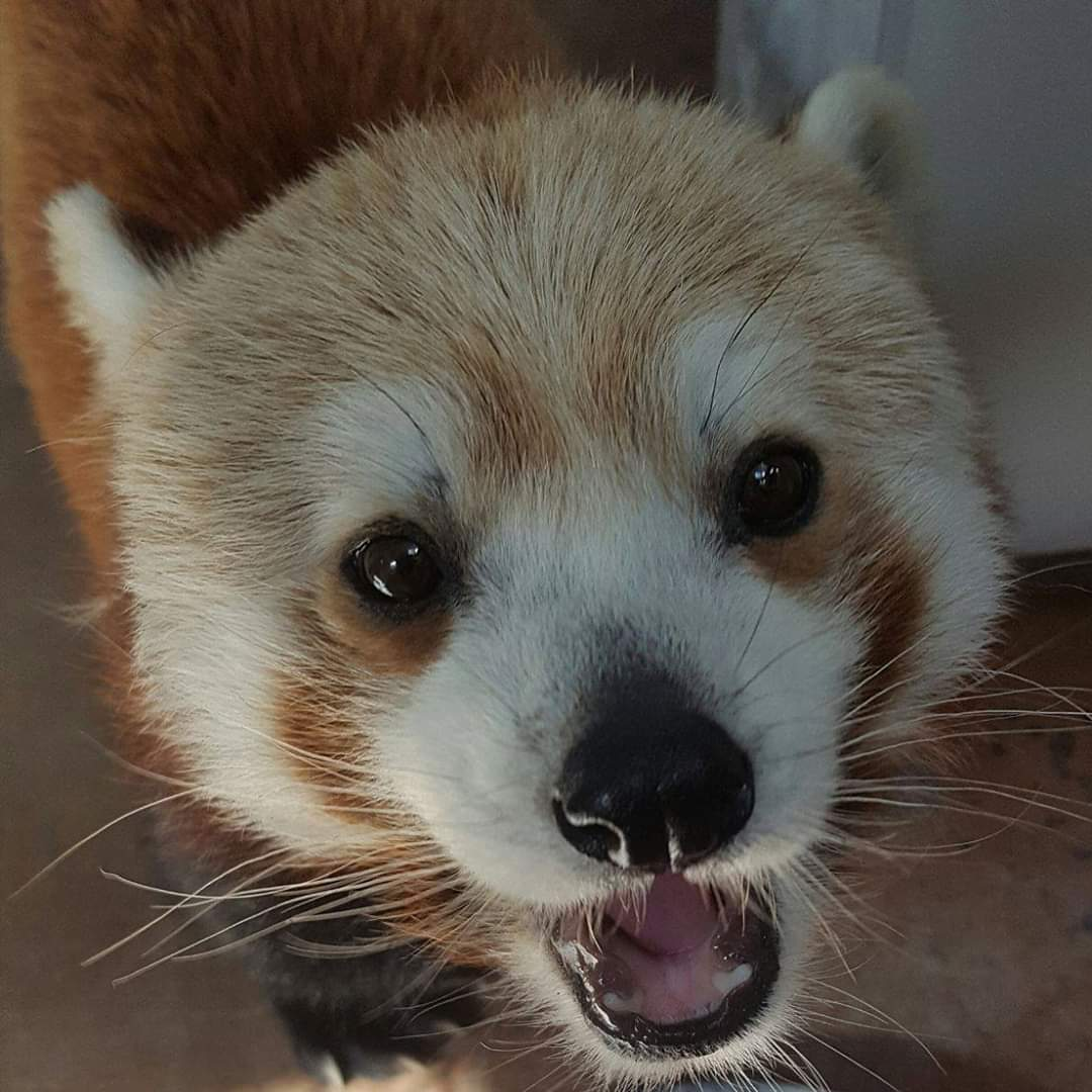 user avatar image for Ruth Laird