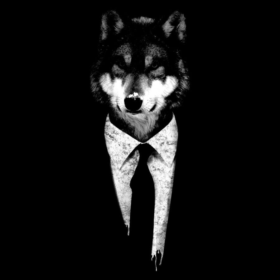 user avatar image for Mr wolf teacher 