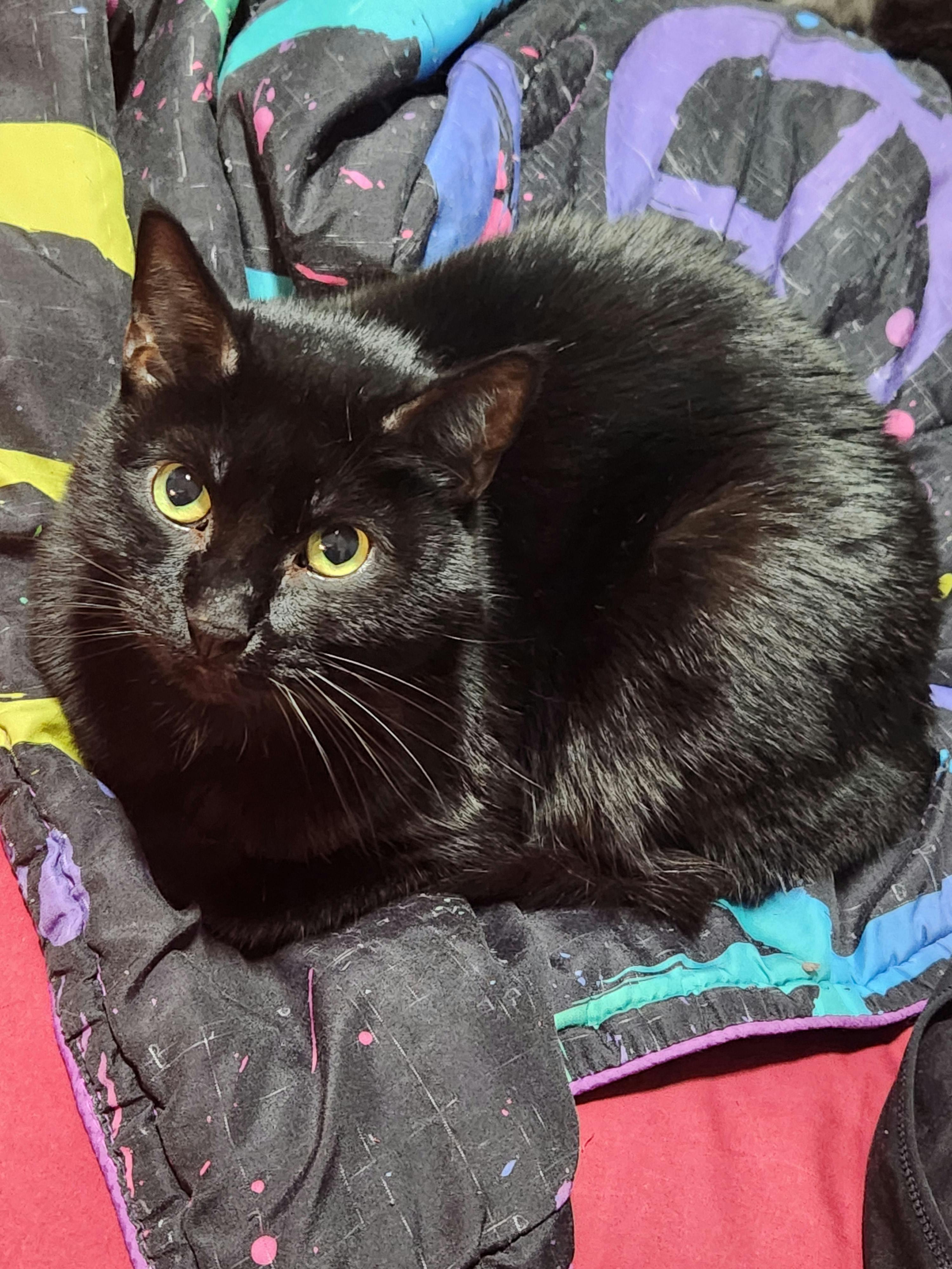 user avatar image for Sierra