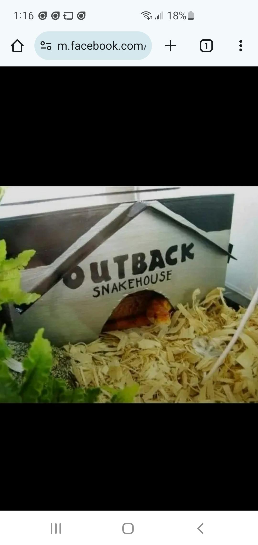 user avatar image for Sussi