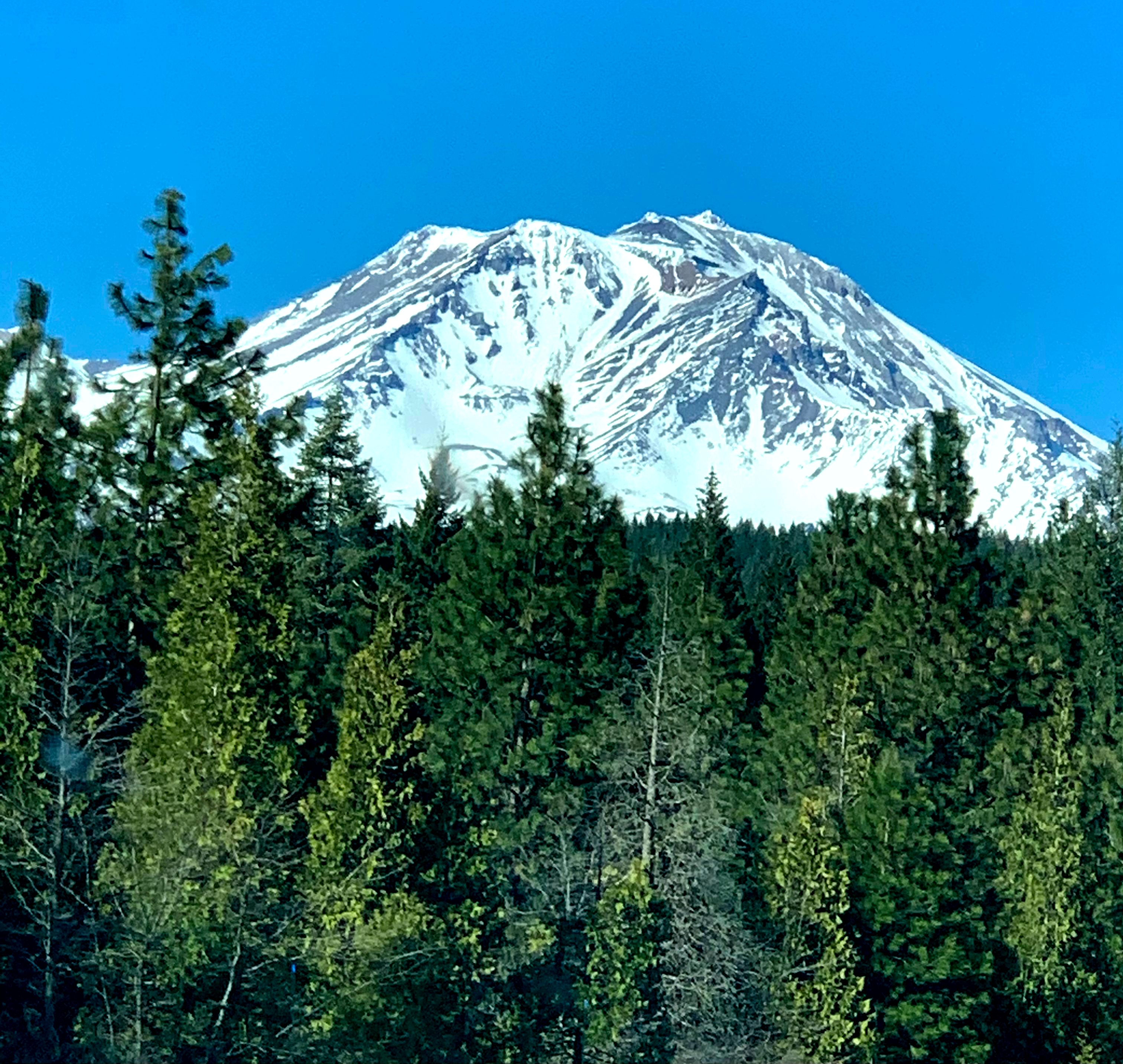 user avatar image for Katt2005