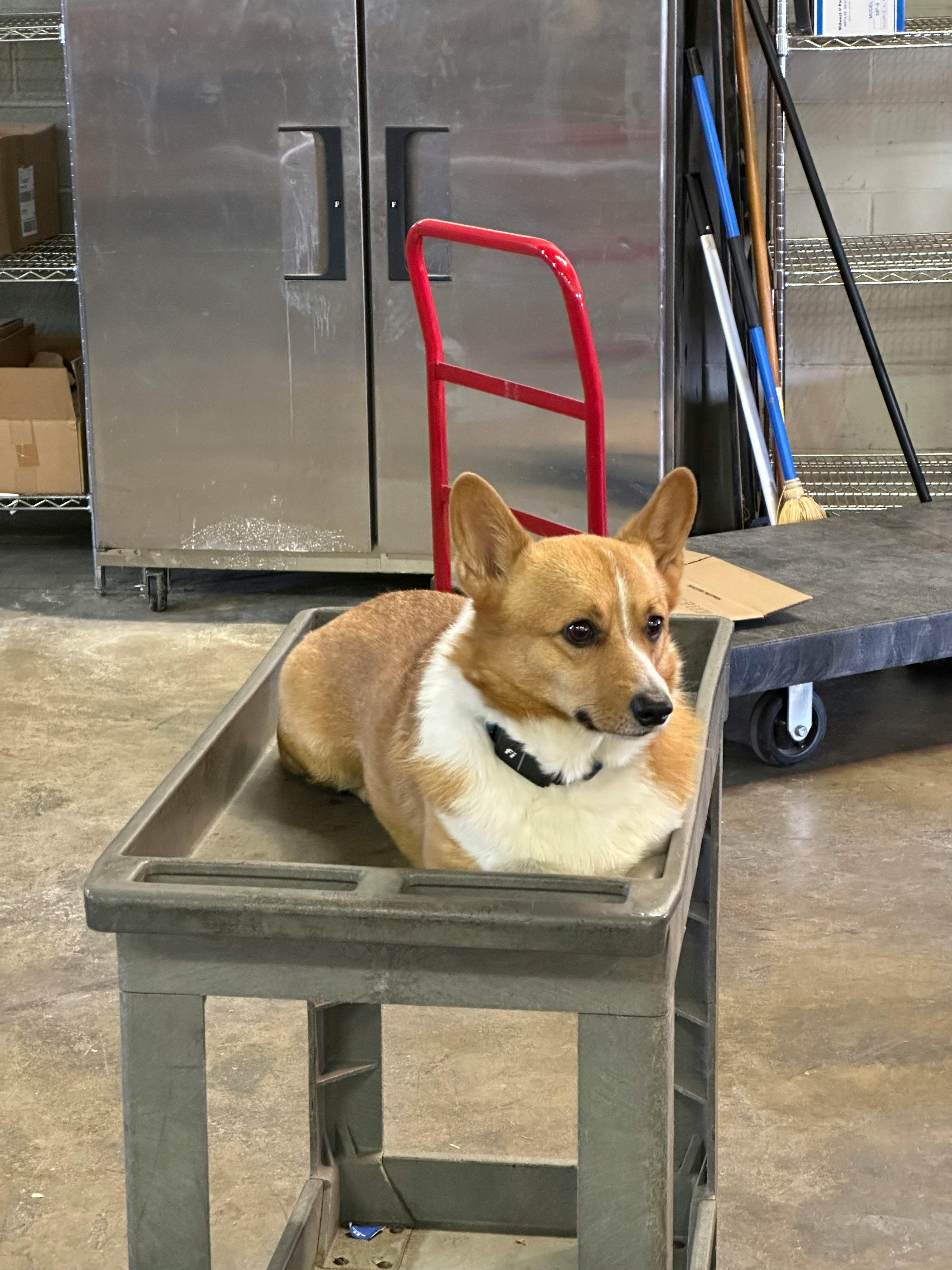 user avatar image for Sven