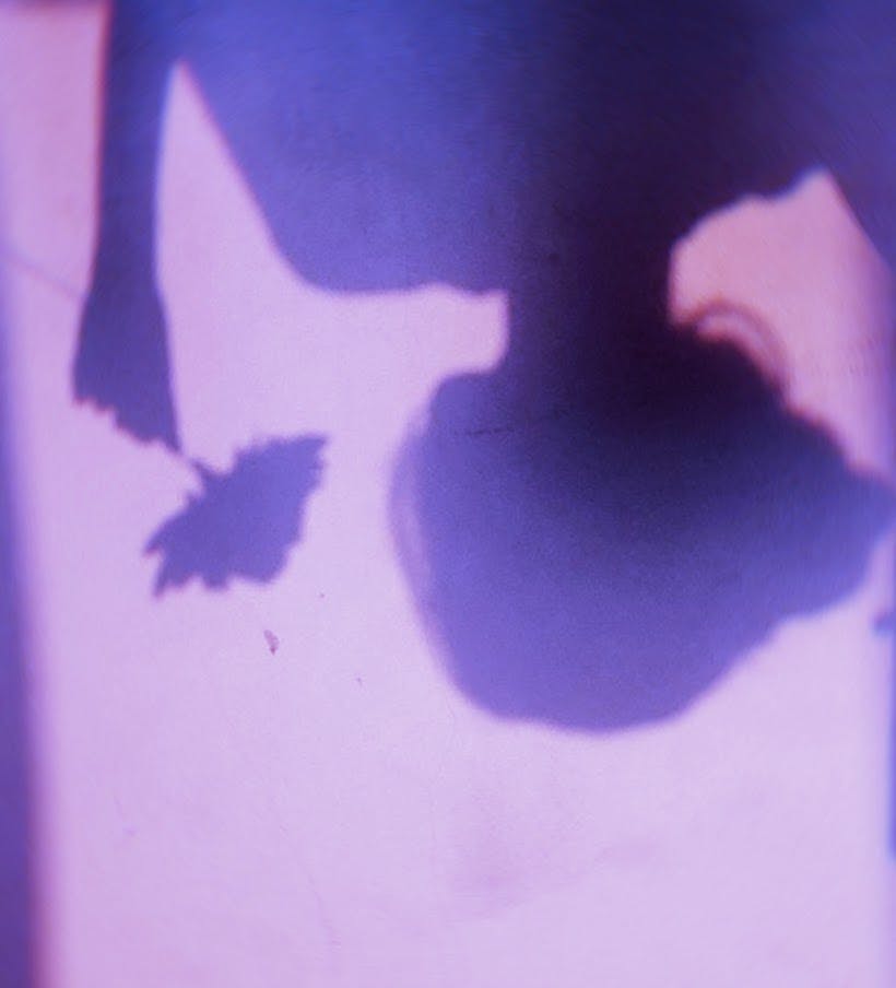 user avatar image for rainyefflorescence