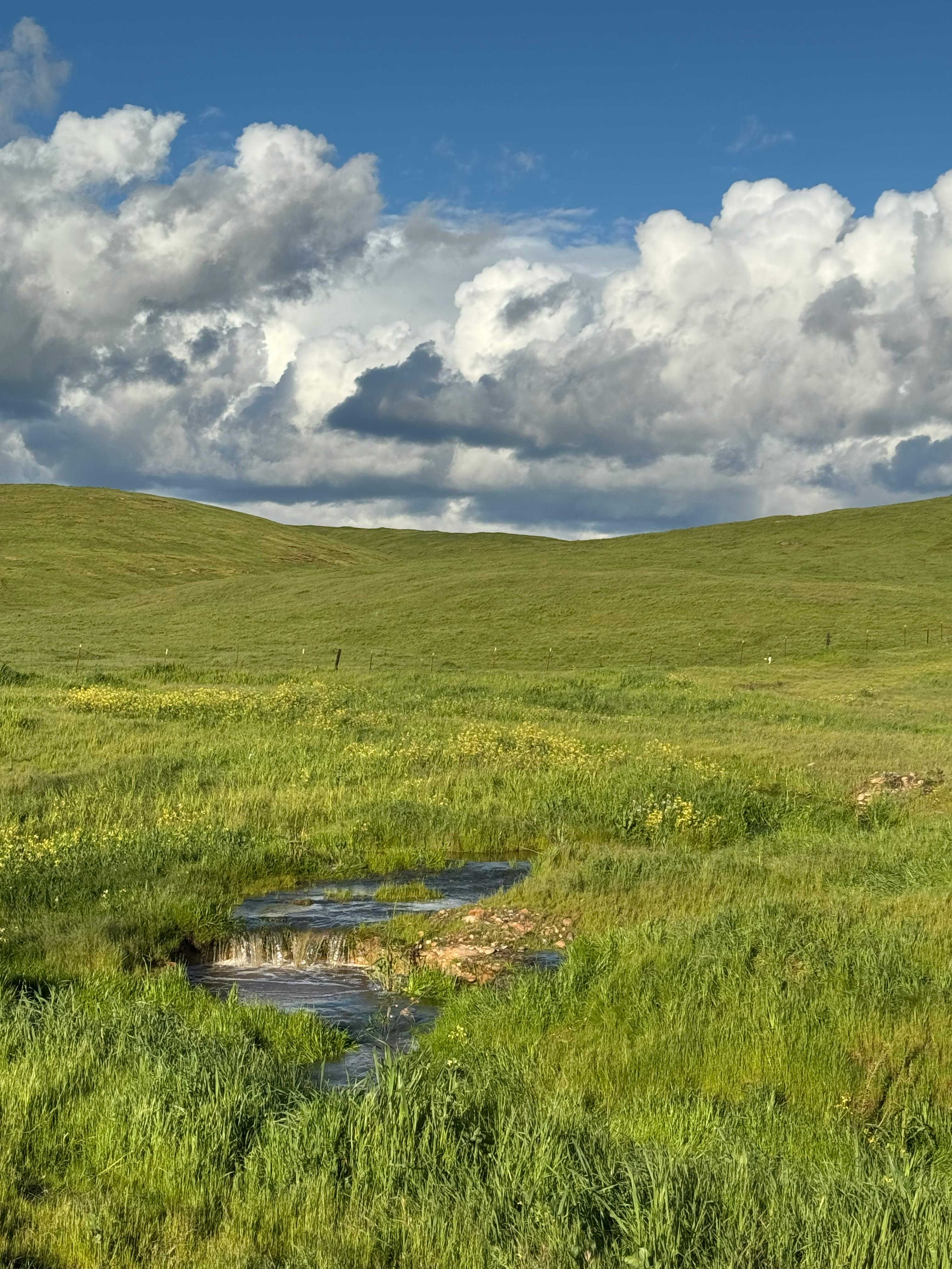 user avatar image for Michael Hargiss