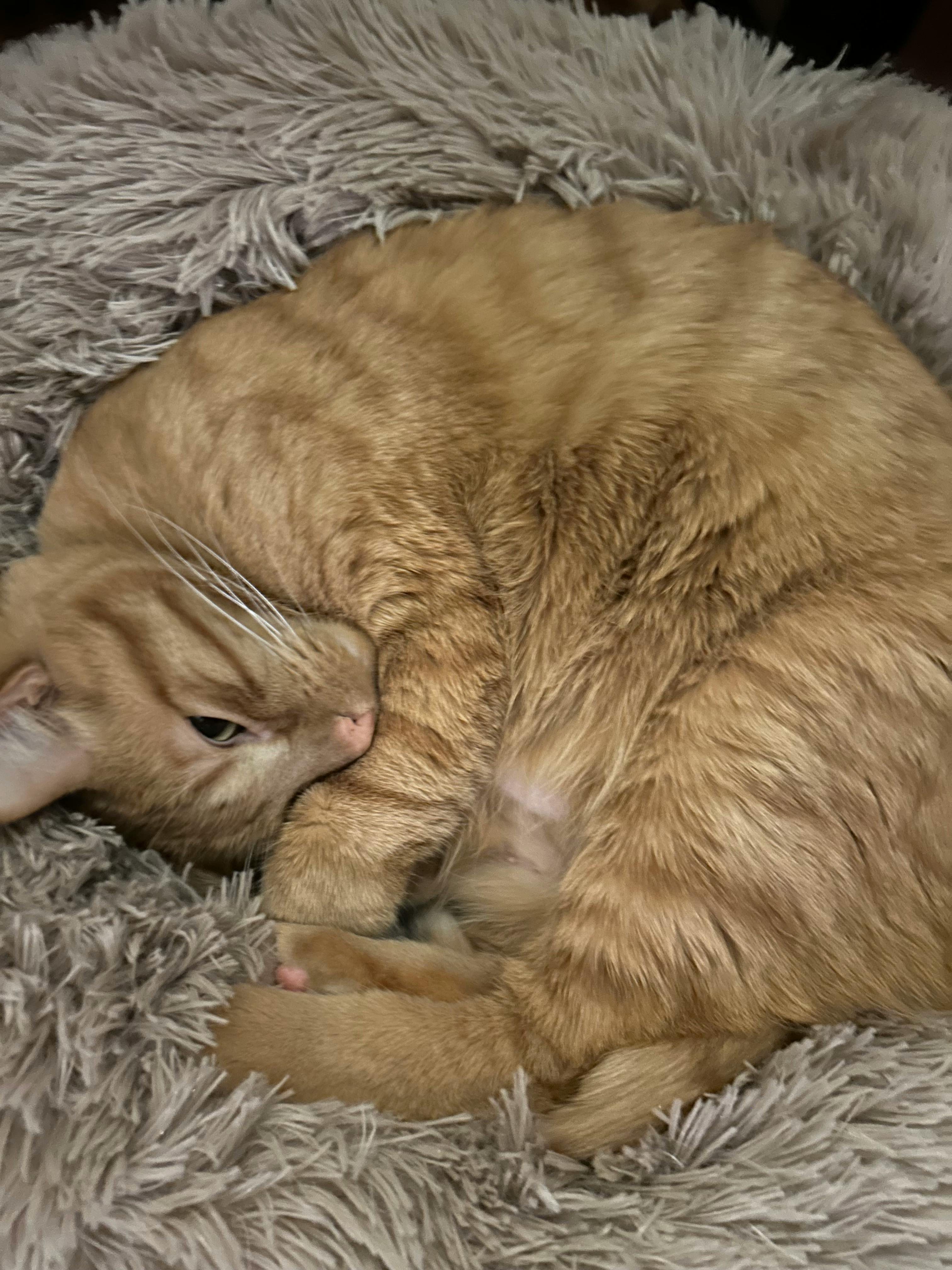 user avatar image for Jayme Jo