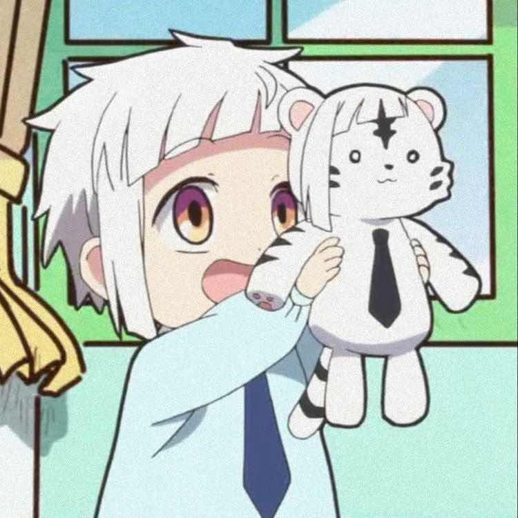 user avatar image for Sara