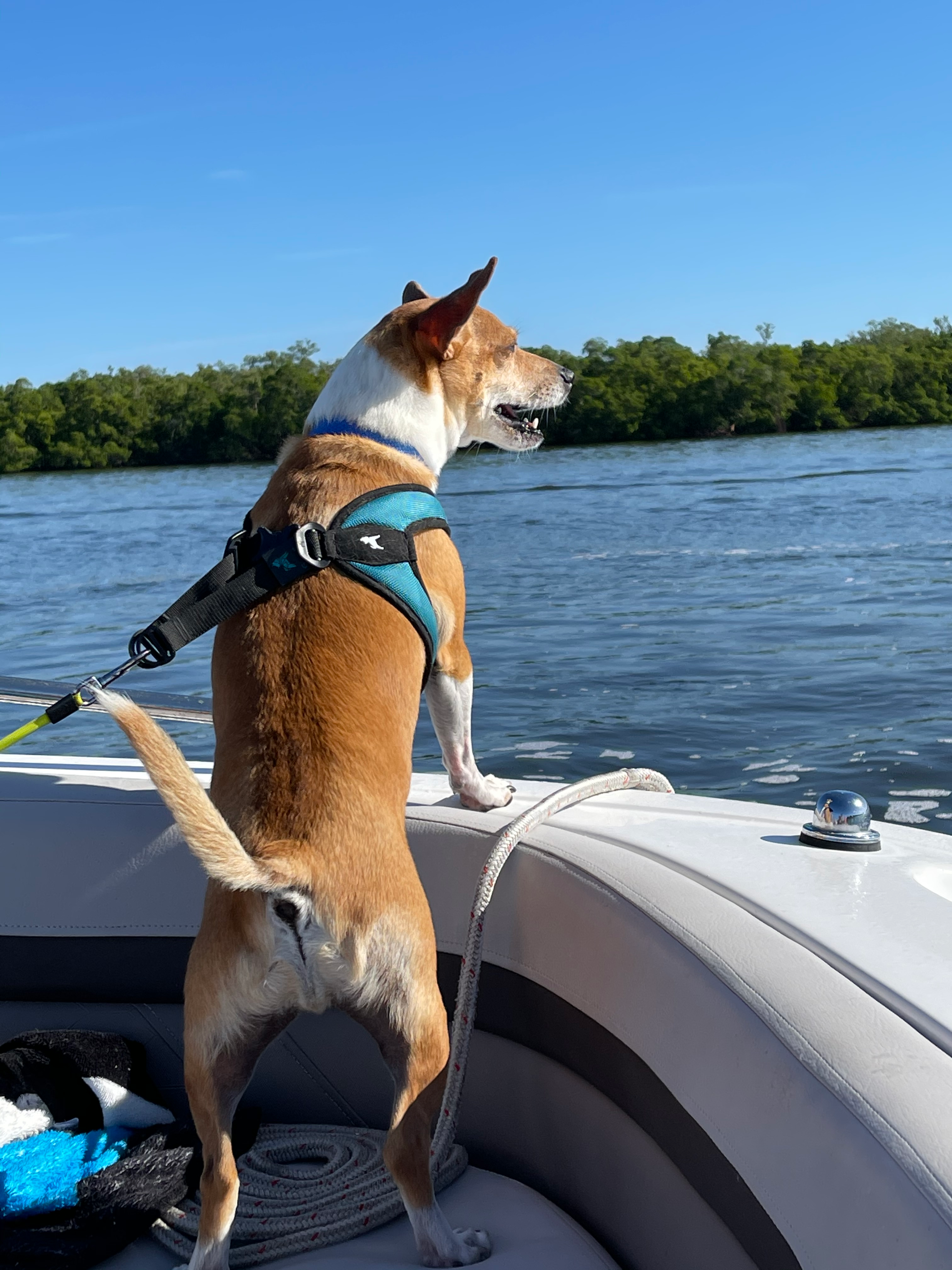 user avatar image for JLTMS