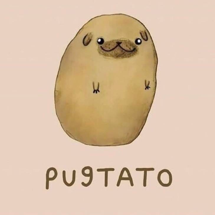 user avatar image for Nevermore26