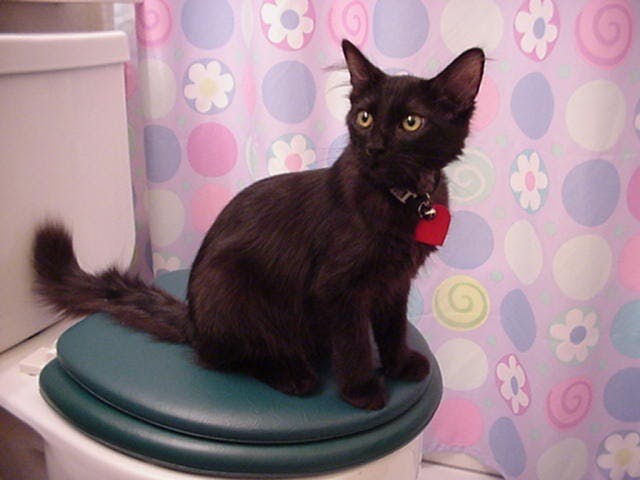 user avatar image for Sally