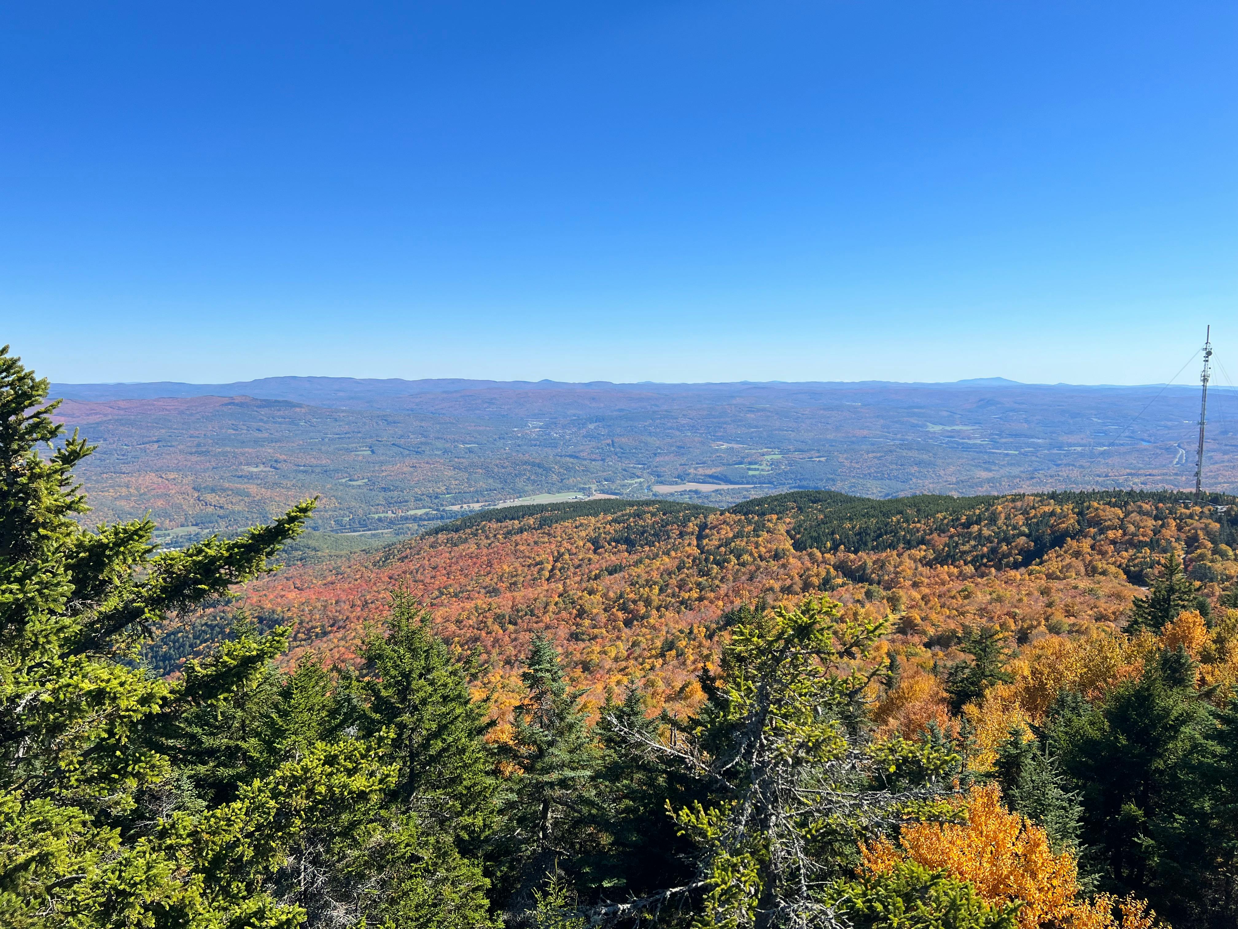 user avatar image for Peter