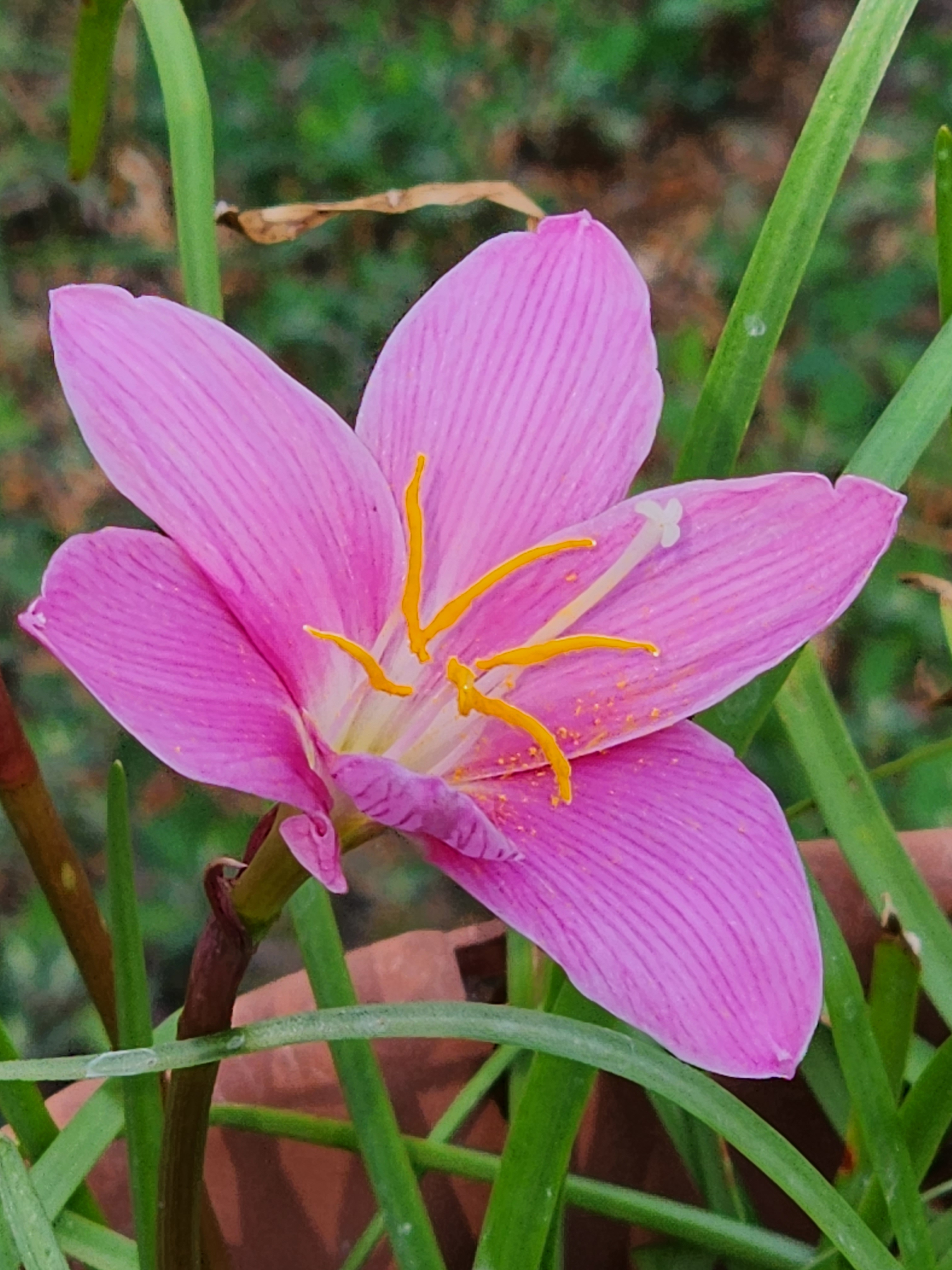 user avatar image for Tiffani