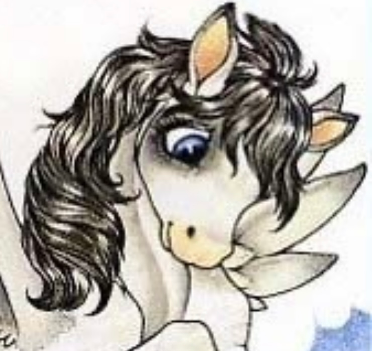 user avatar image for keighley lacross