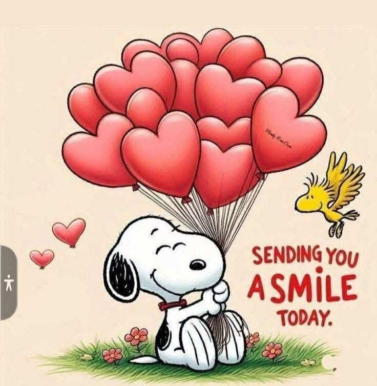 user avatar image for Holly B