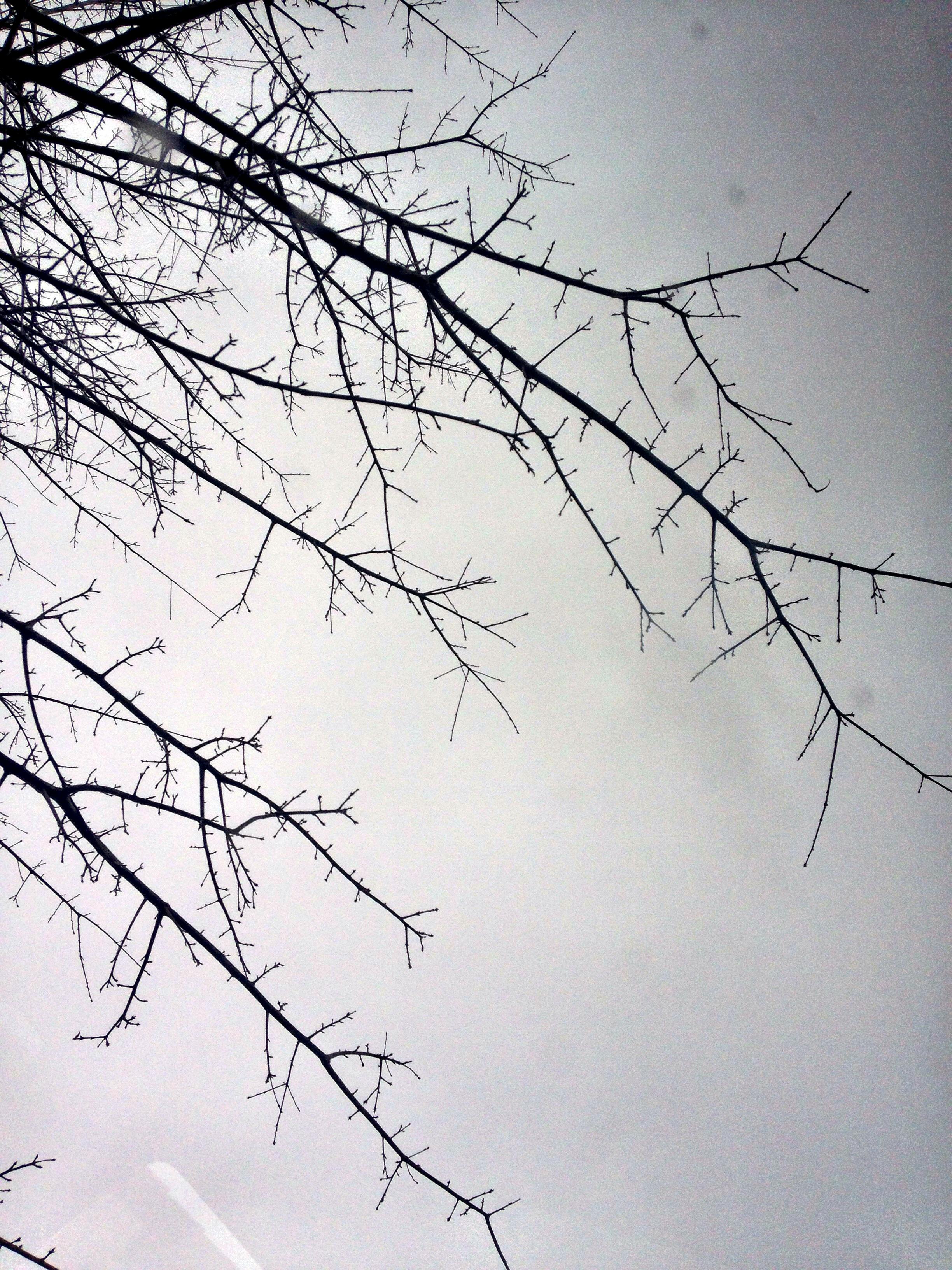 user avatar image for McKay S