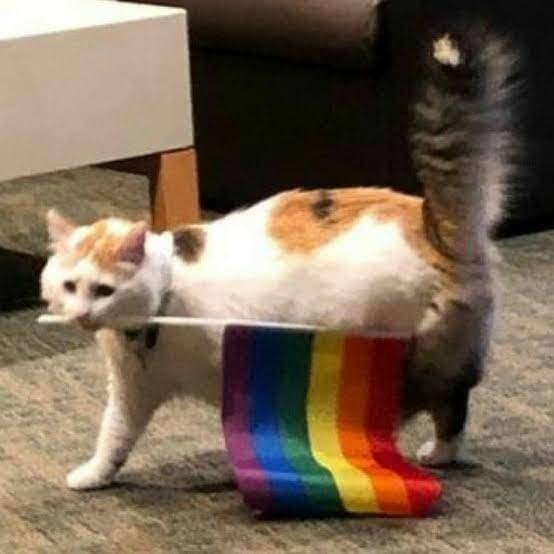 user avatar image for Jailin