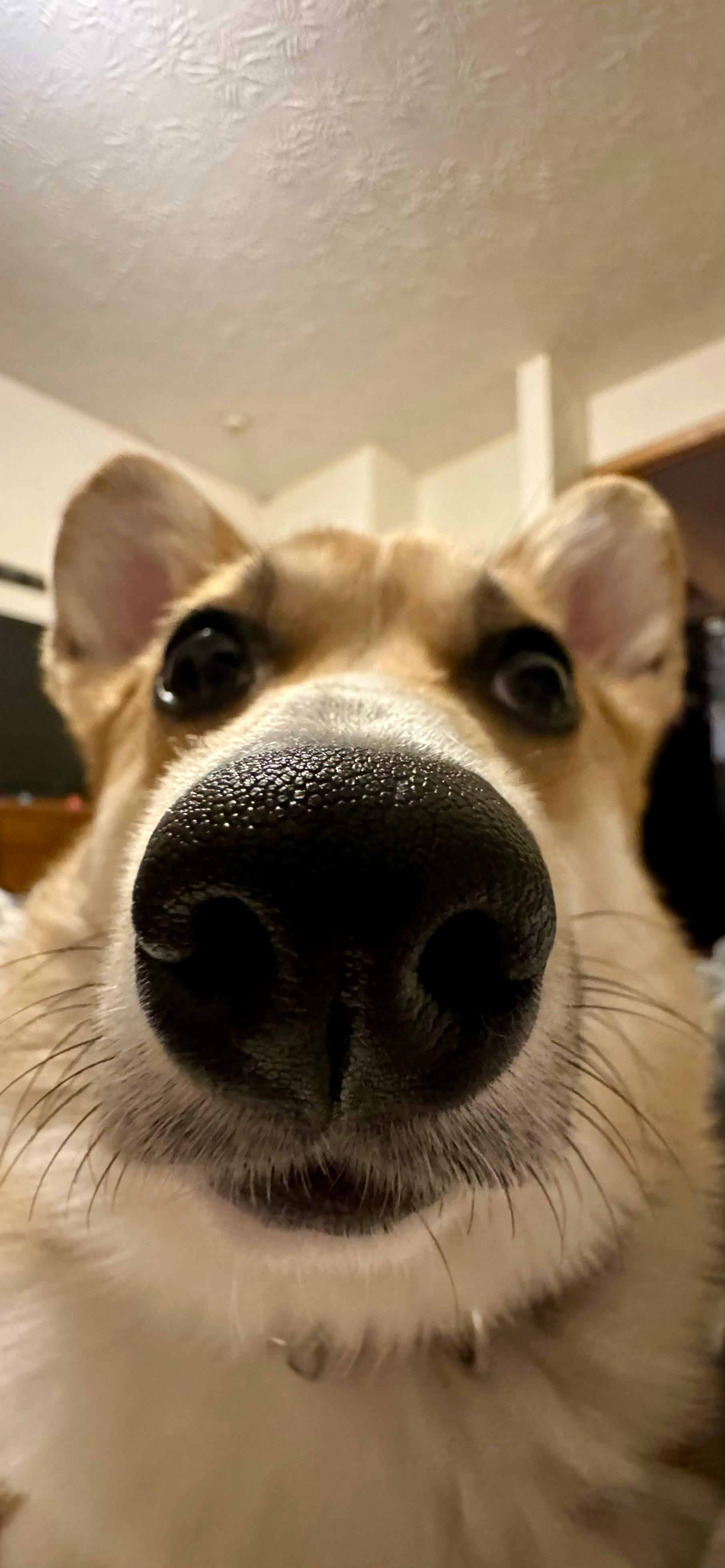 user avatar image for Michaela O’Dell