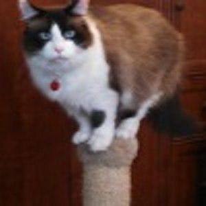 user avatar image for Bruce Shipman