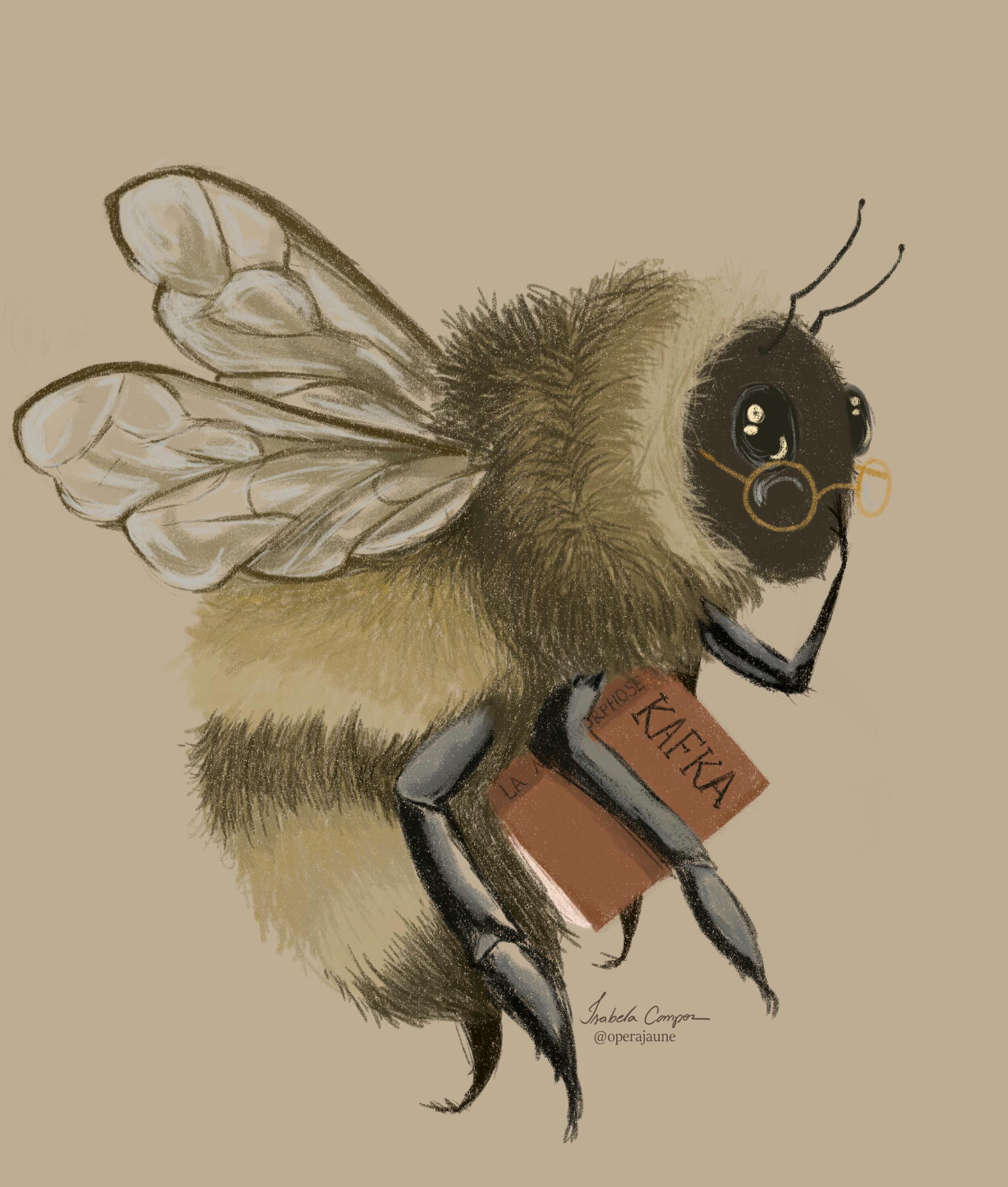 user avatar image for Lizz H 