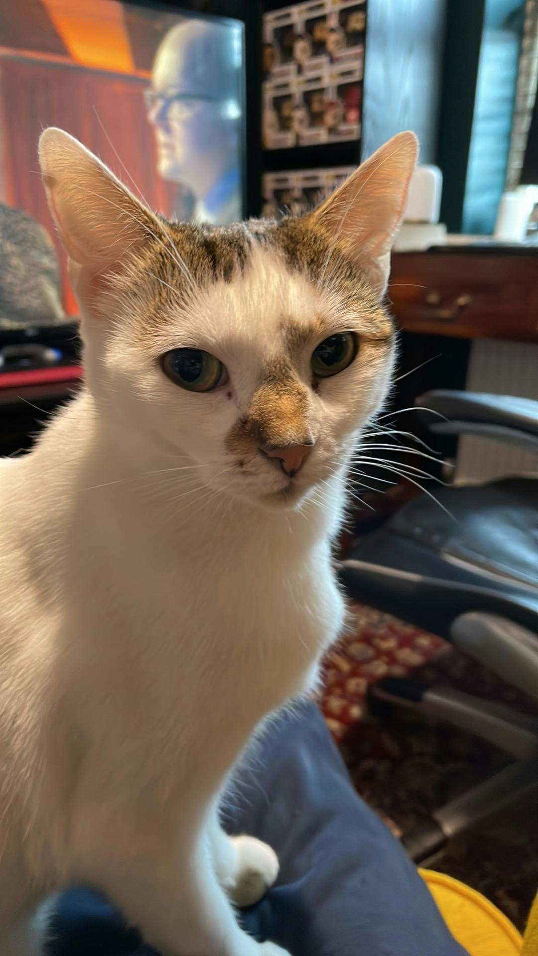 user avatar image for James Lister