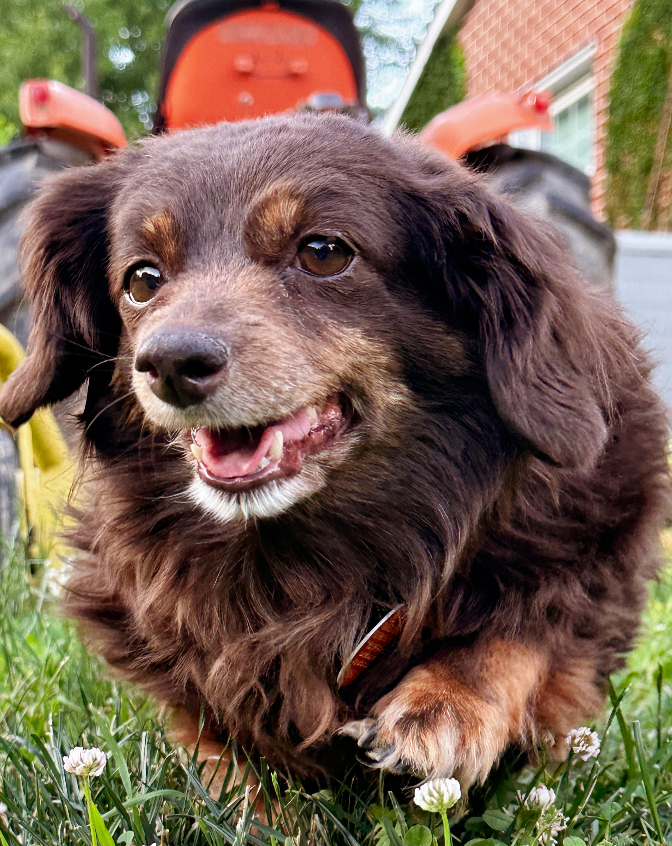 user avatar image for Ashlea