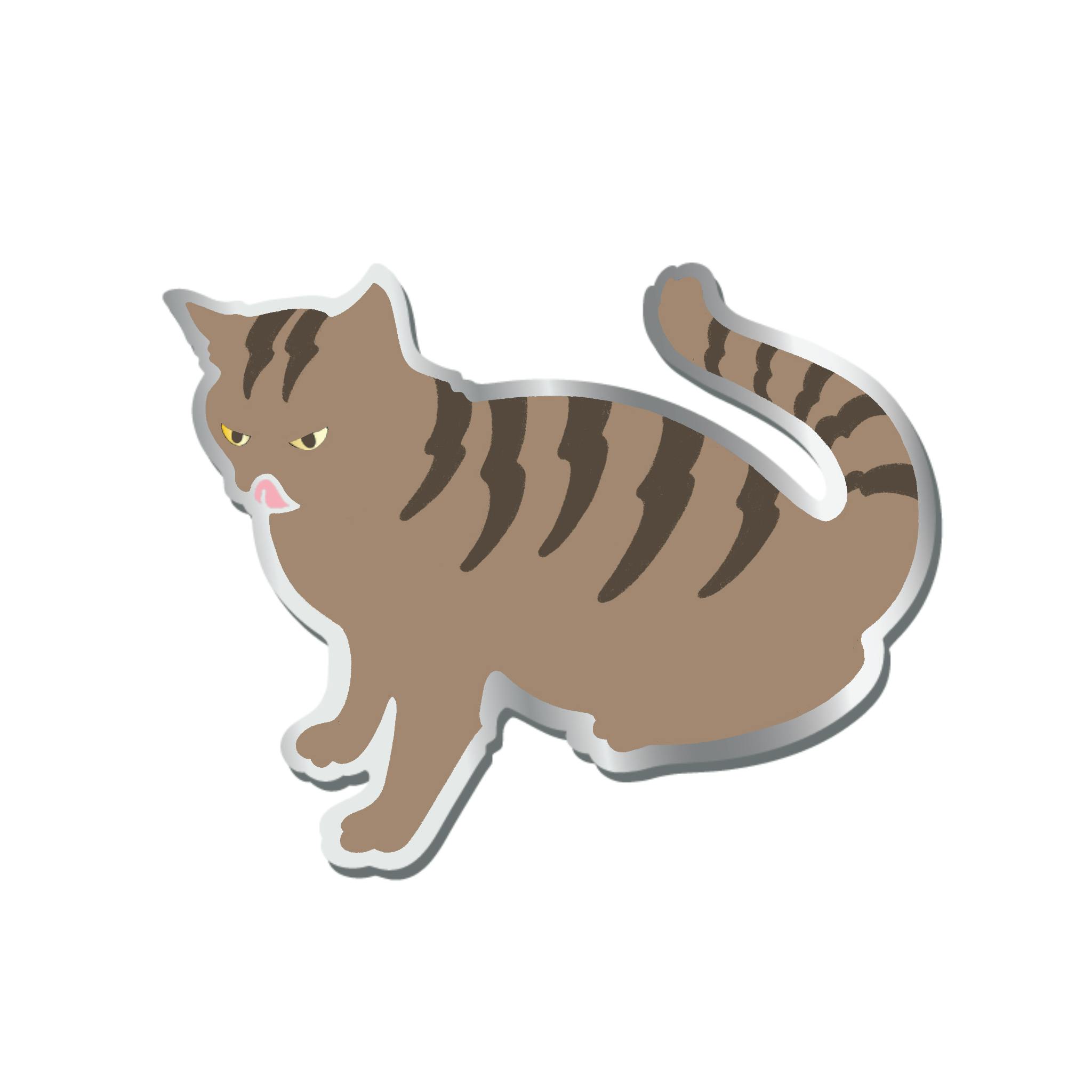 Brown Tabby