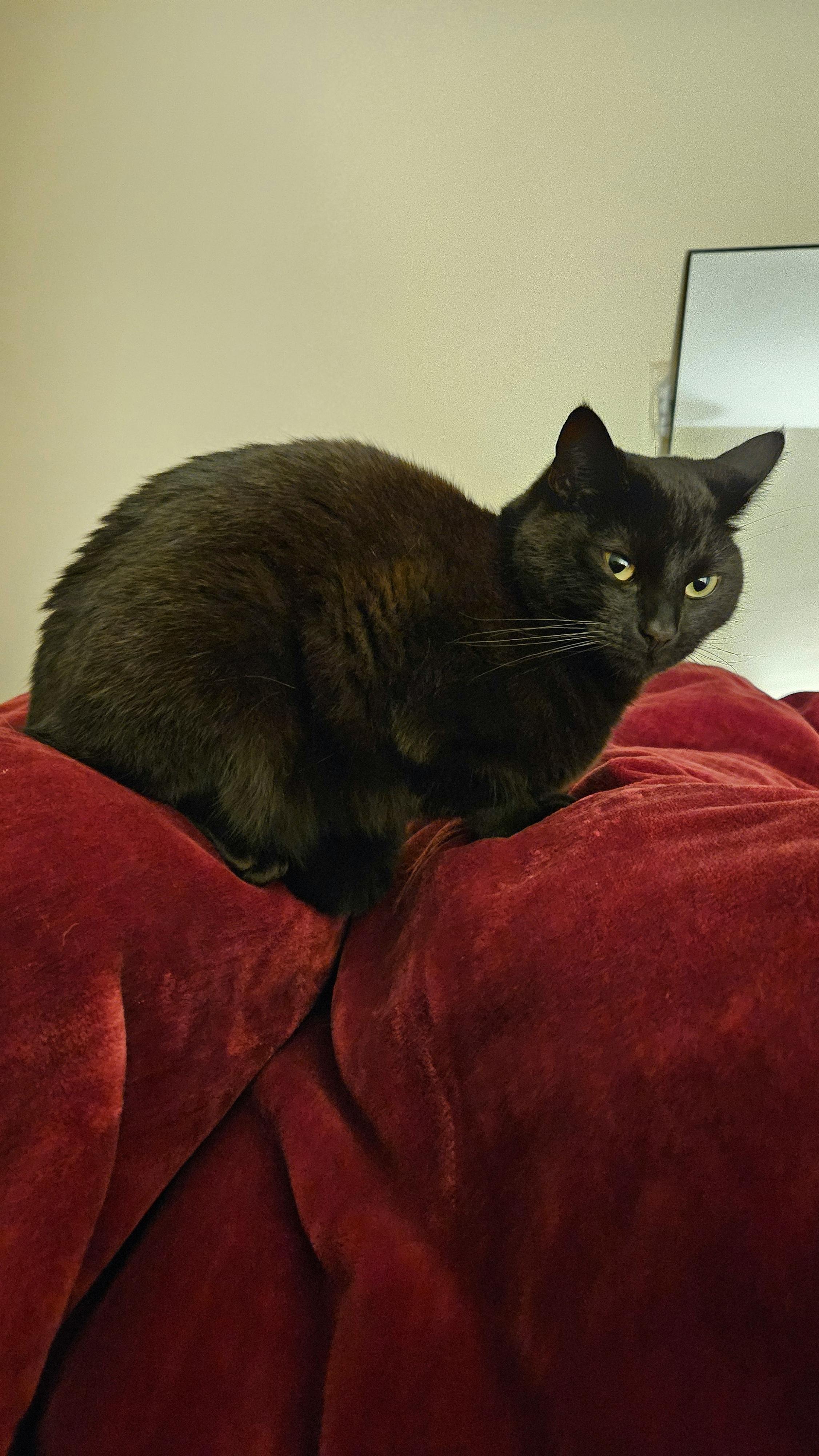 user avatar image for Kat