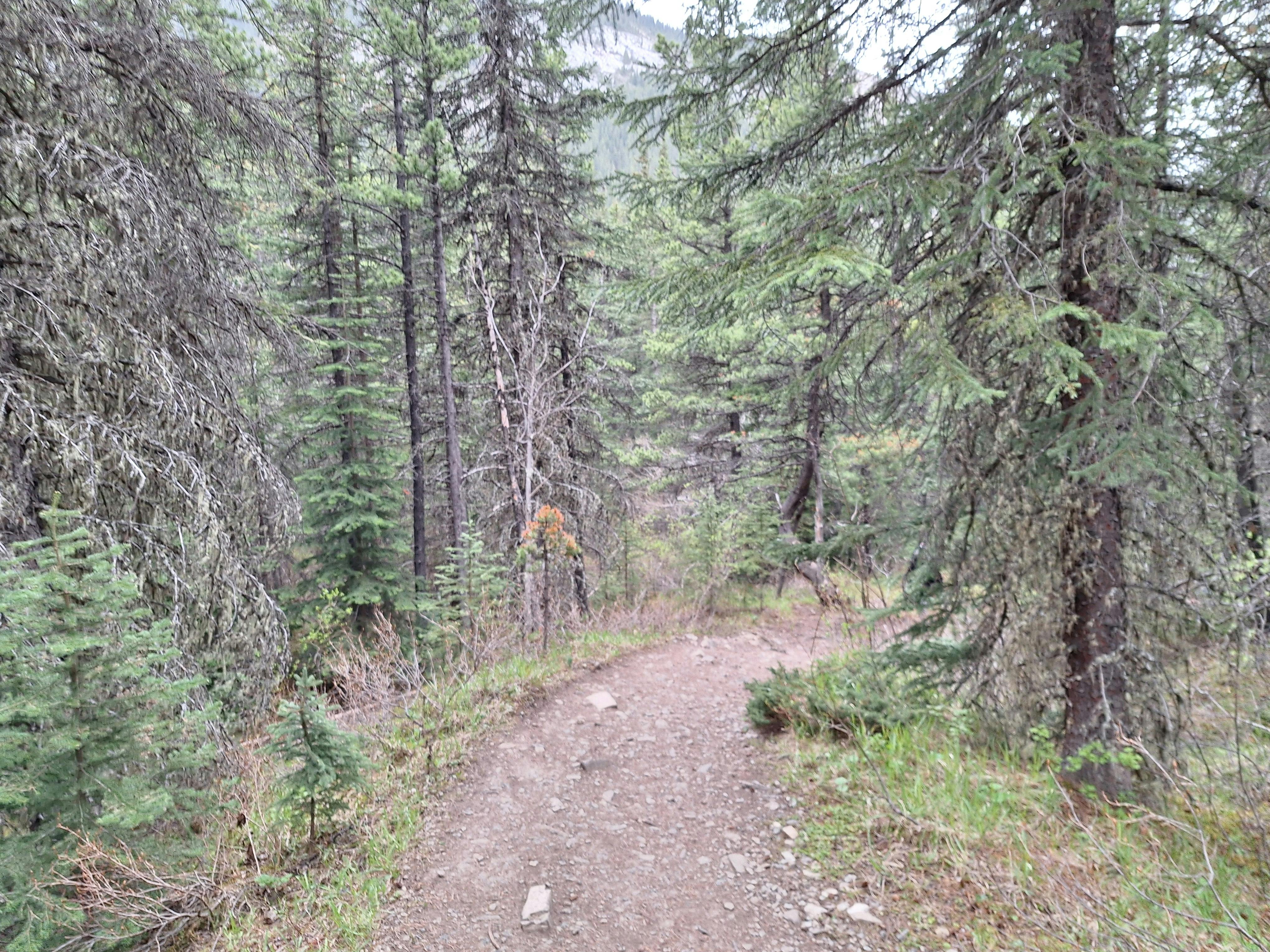 user avatar image for Colin Pinnell