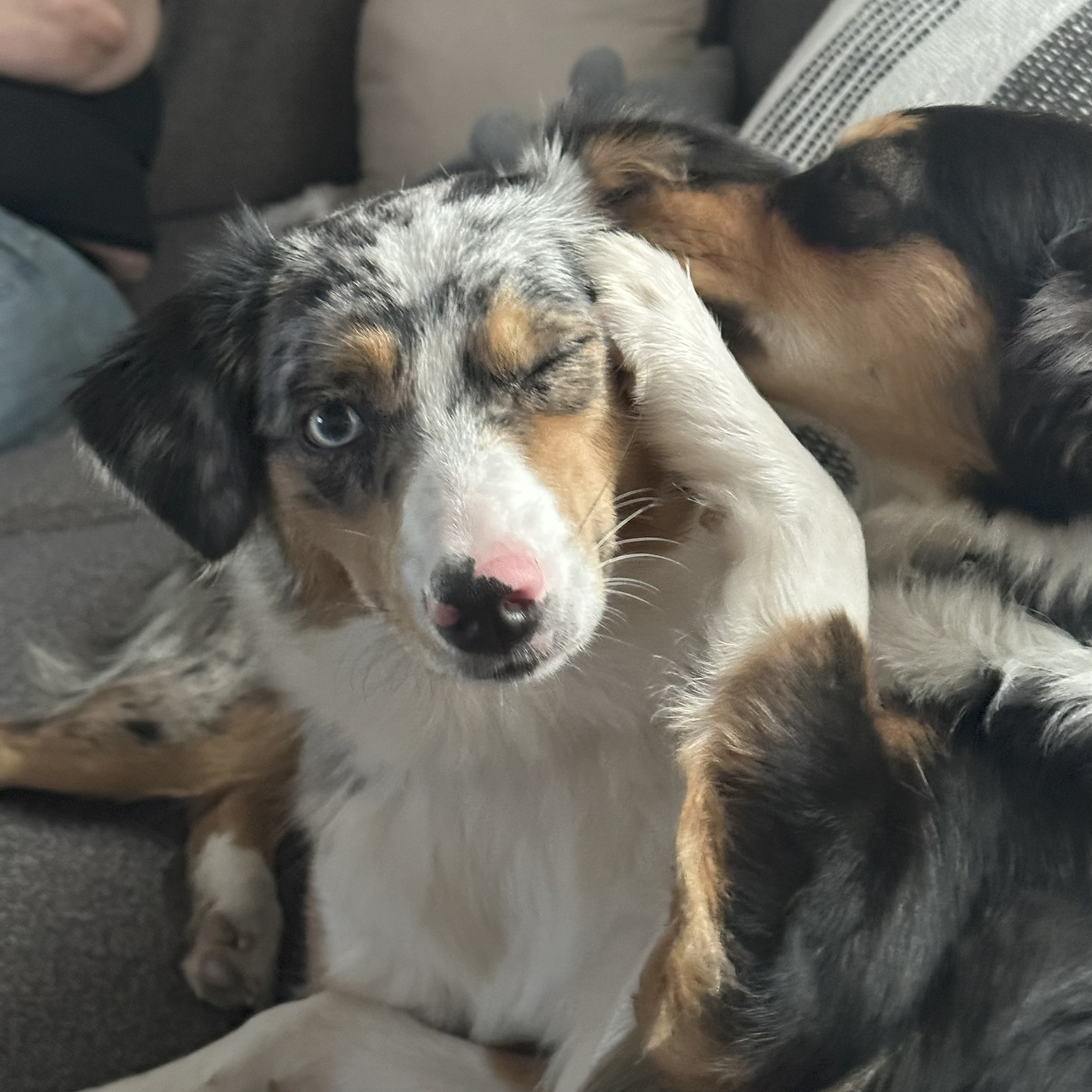 user avatar image for Katherine Rayburn