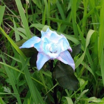 user avatar image for Eden