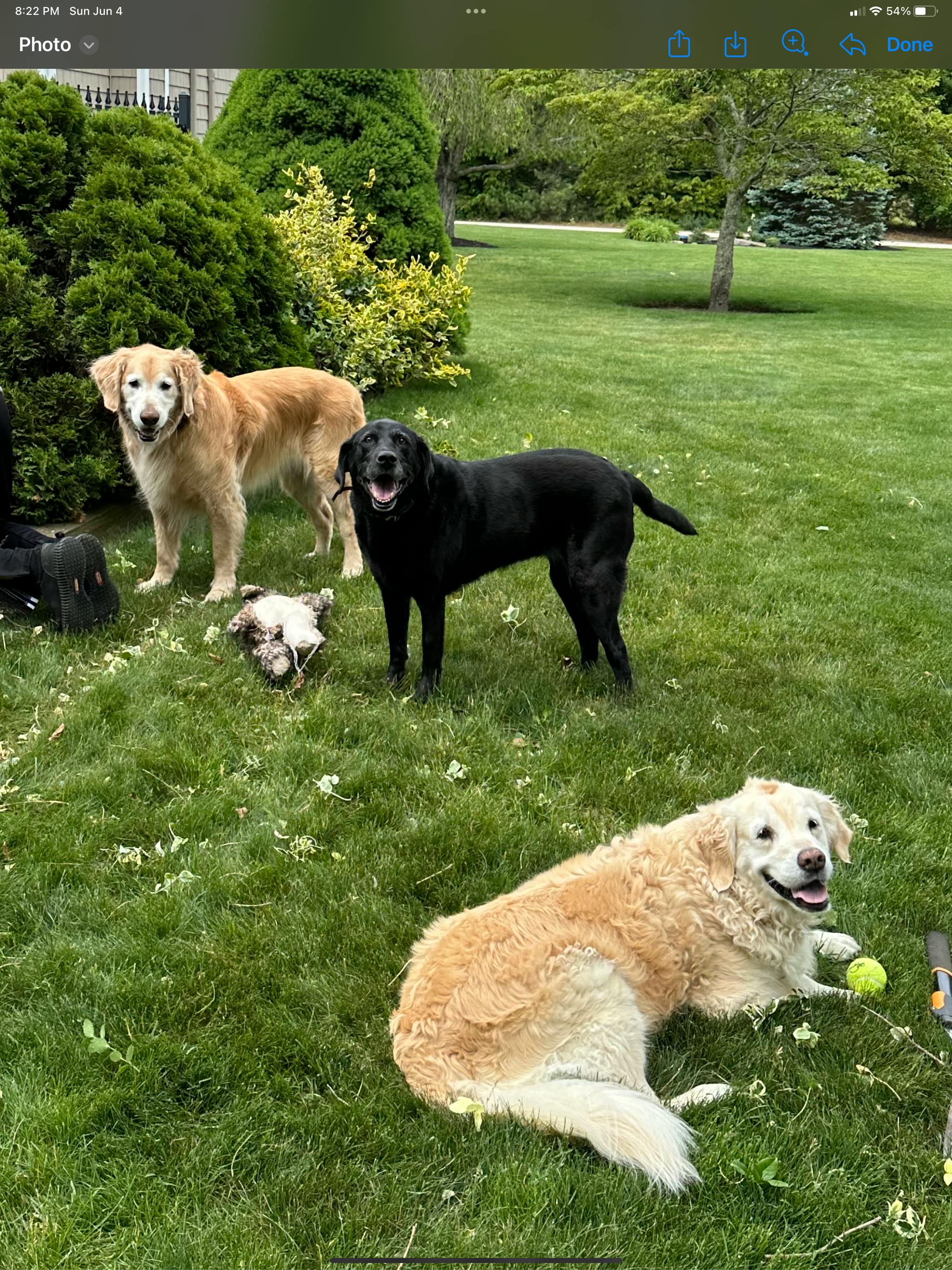 user avatar image for Kevin Pagliarini