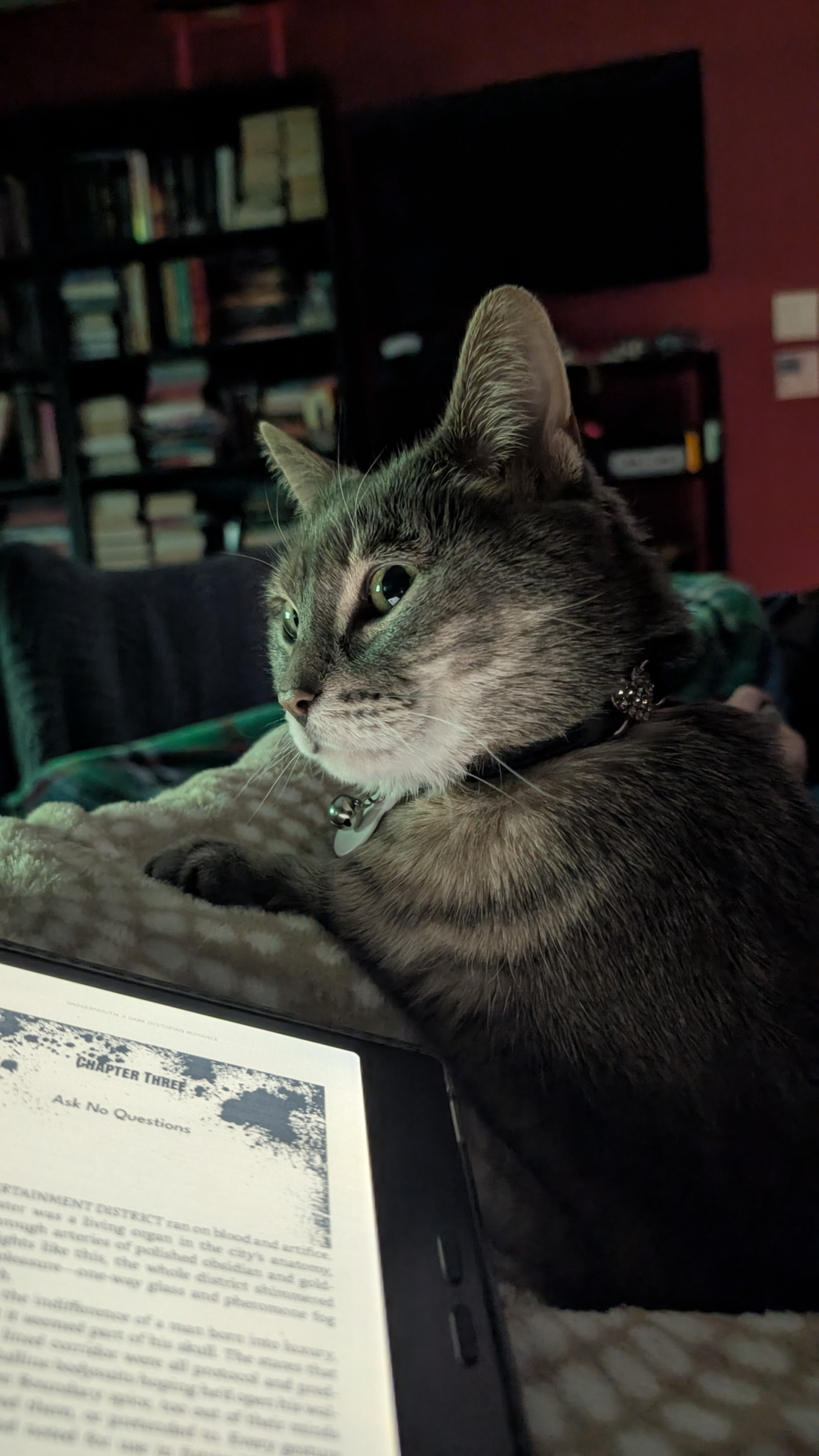 user avatar image for Ambrose Zavislak