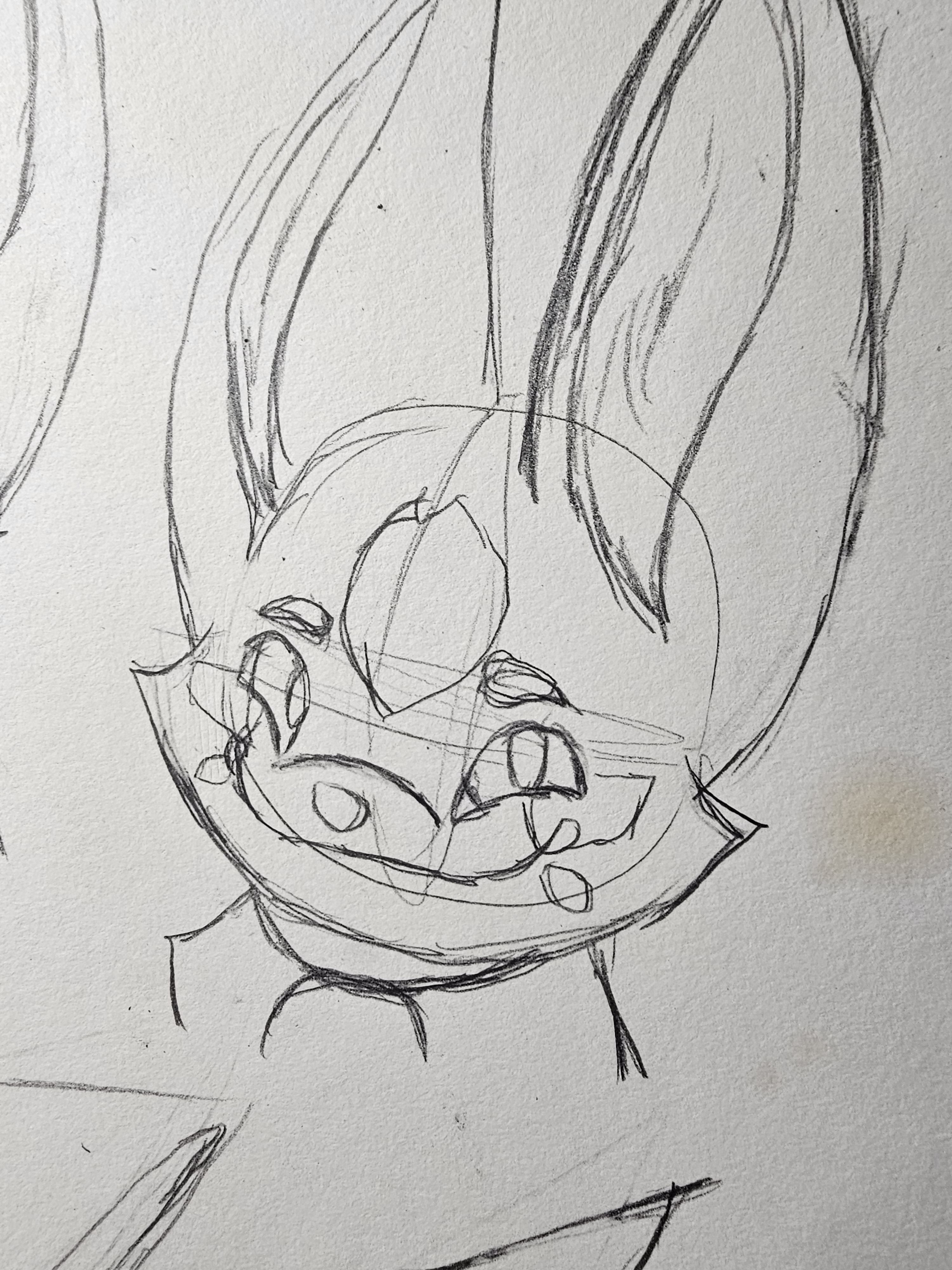 user avatar image for Kikochan