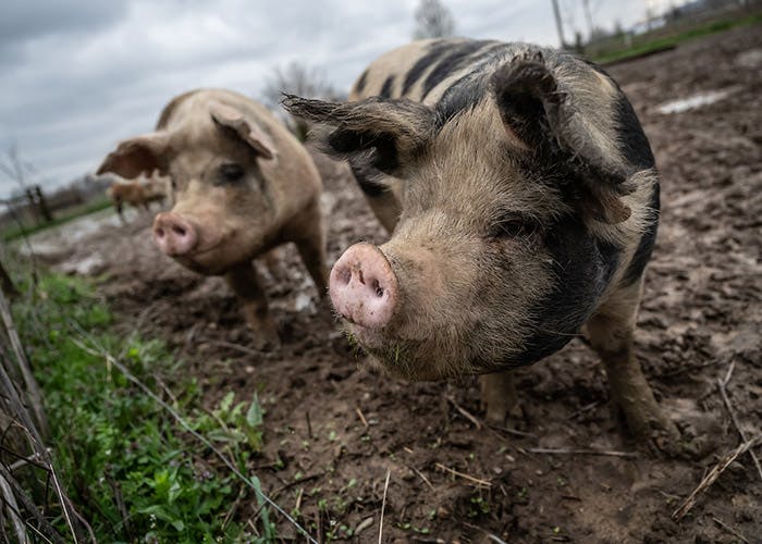 user avatar image for Sam Sorensen