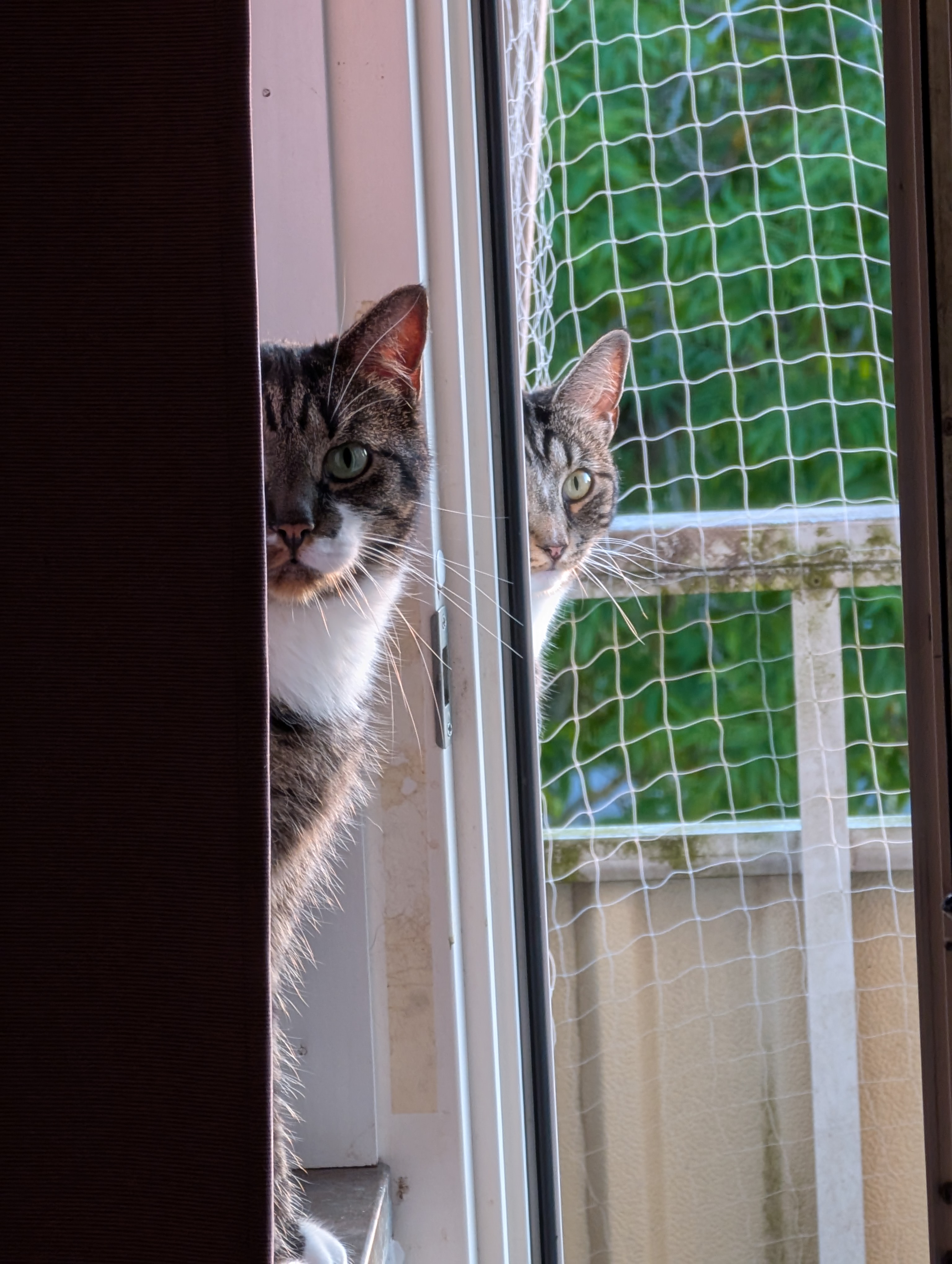 user avatar image for Block the GM