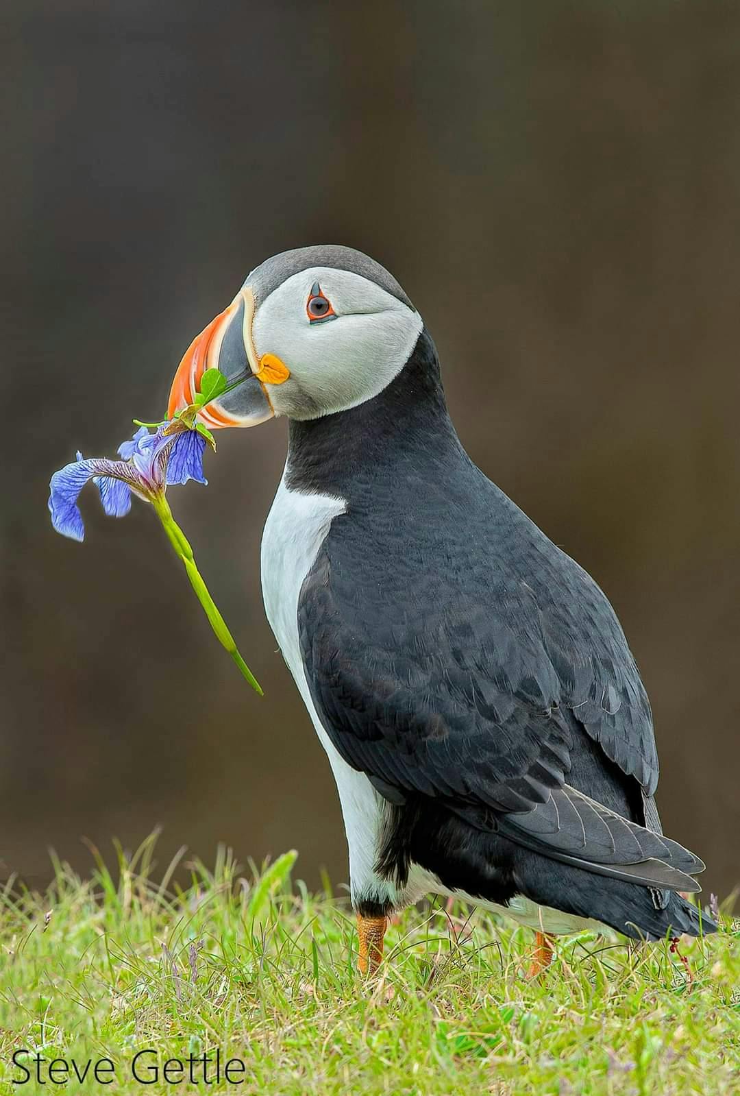 user avatar image for Mark Winnington