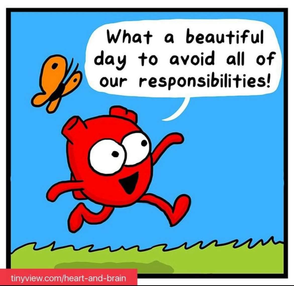 user avatar image for Rafael Pacheco