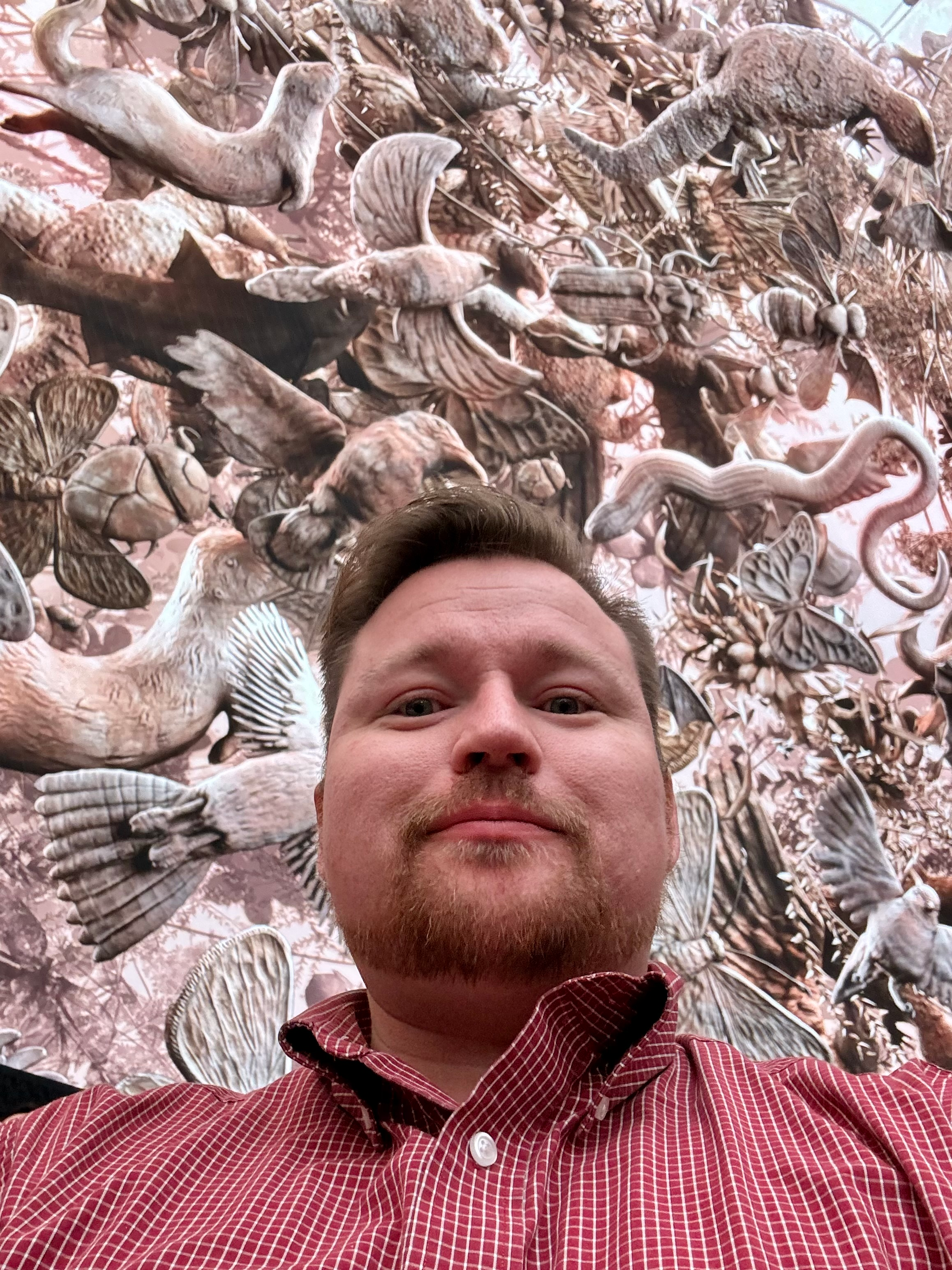 user avatar image for Ian R.