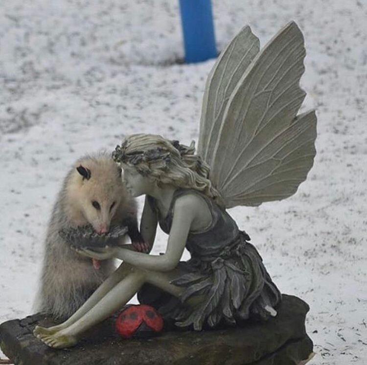 user avatar image for Thespookysoup