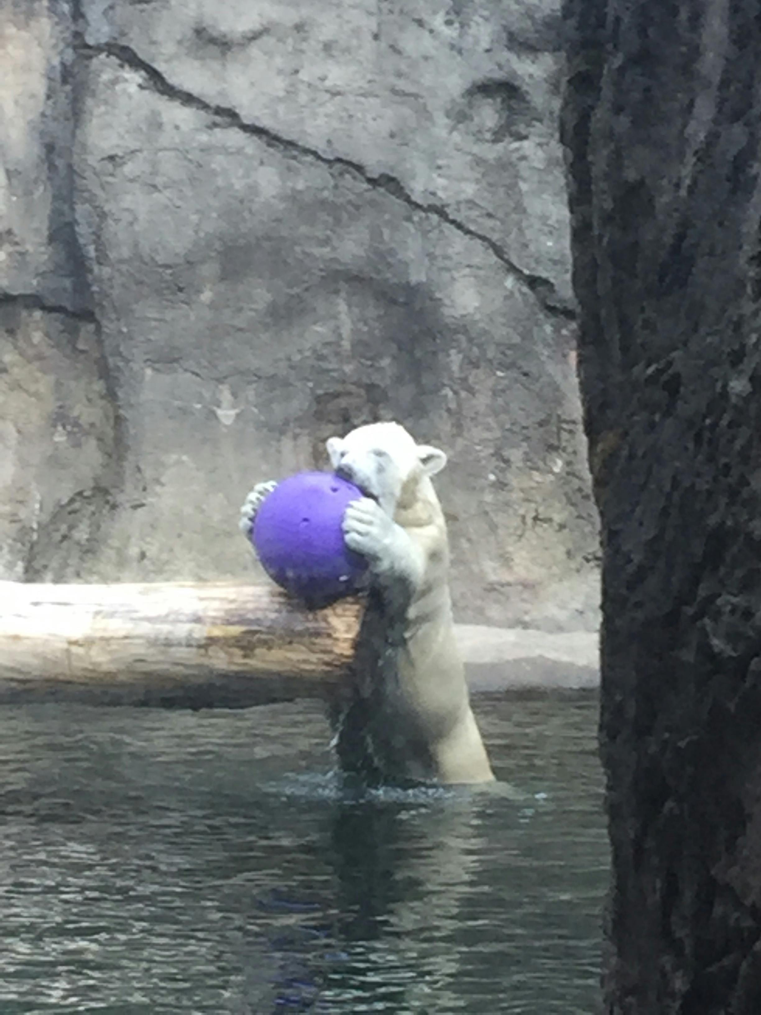 user avatar image for Kz3838